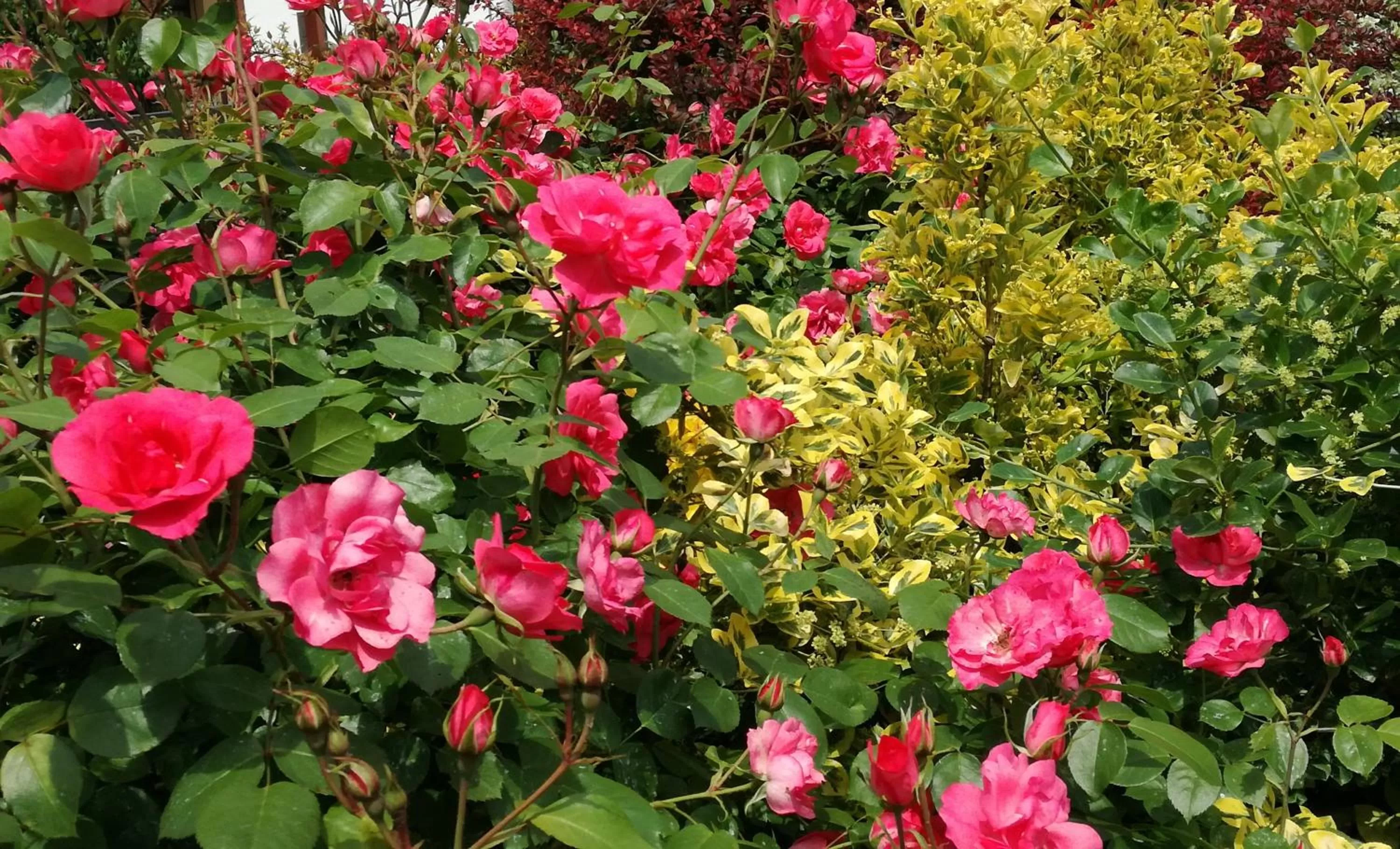 Garden in 3 Tesori B&B