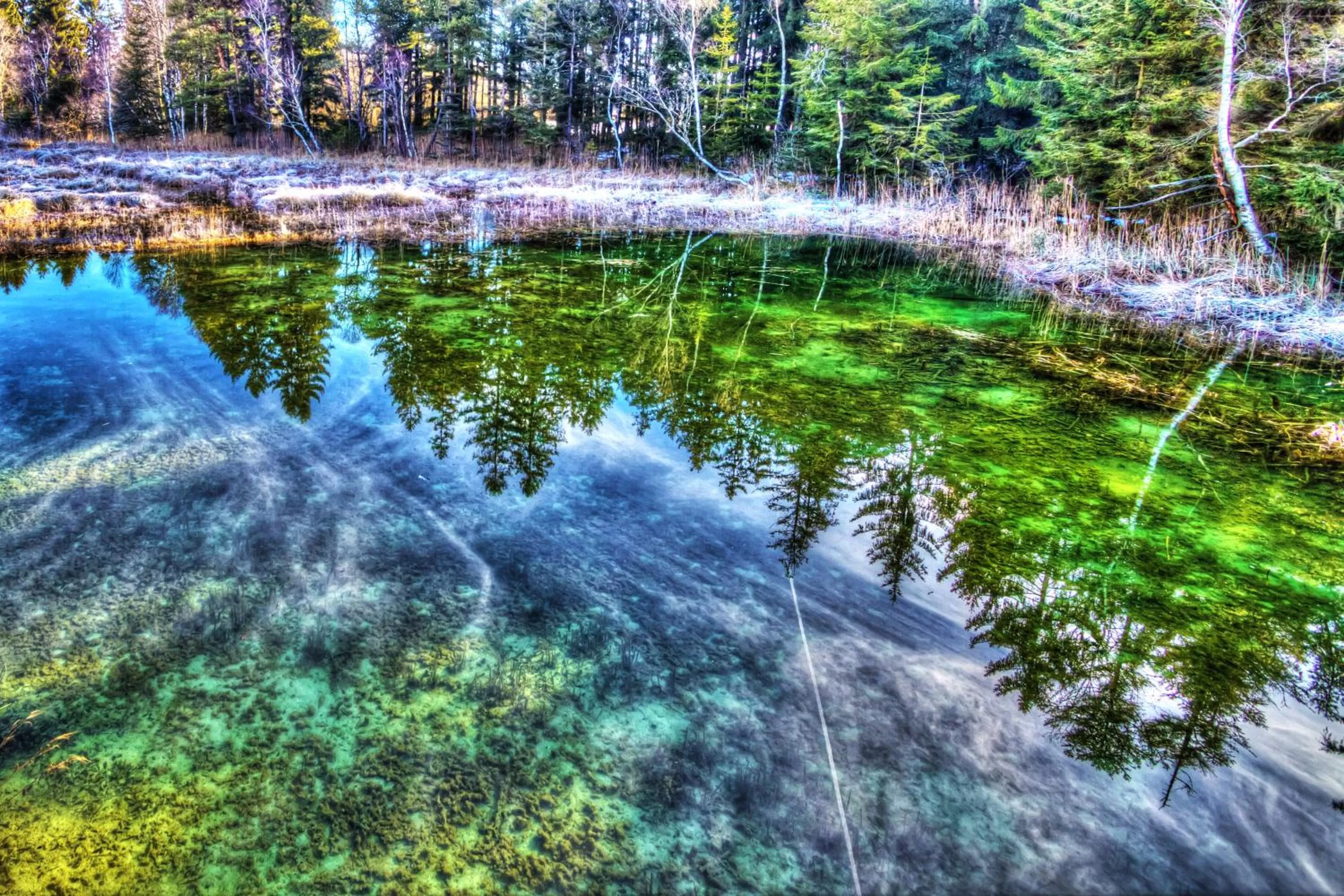 Natural landscape in Boarding & HOUSE T24