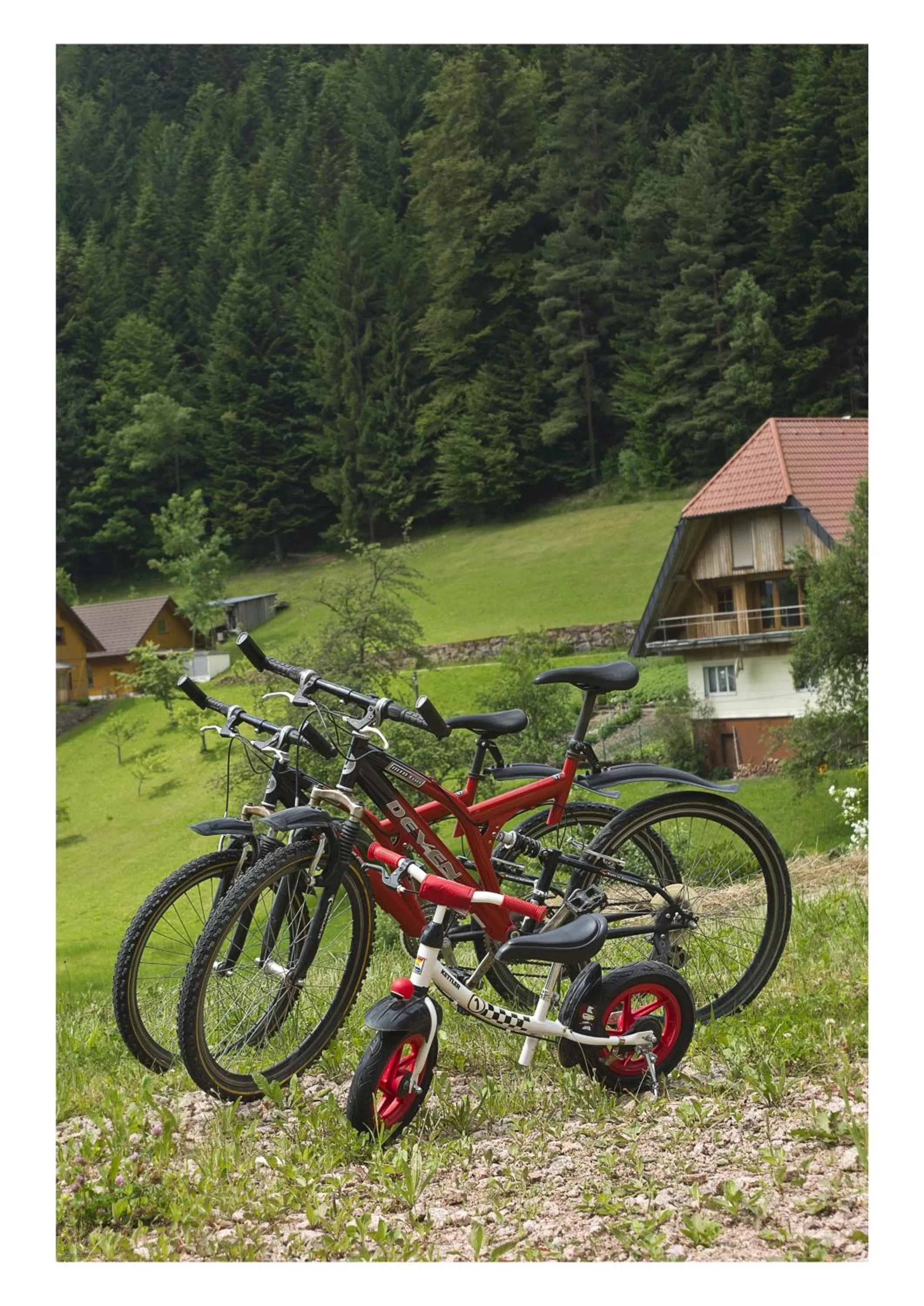 Cycling in Öko-Landhotel Basler Hof