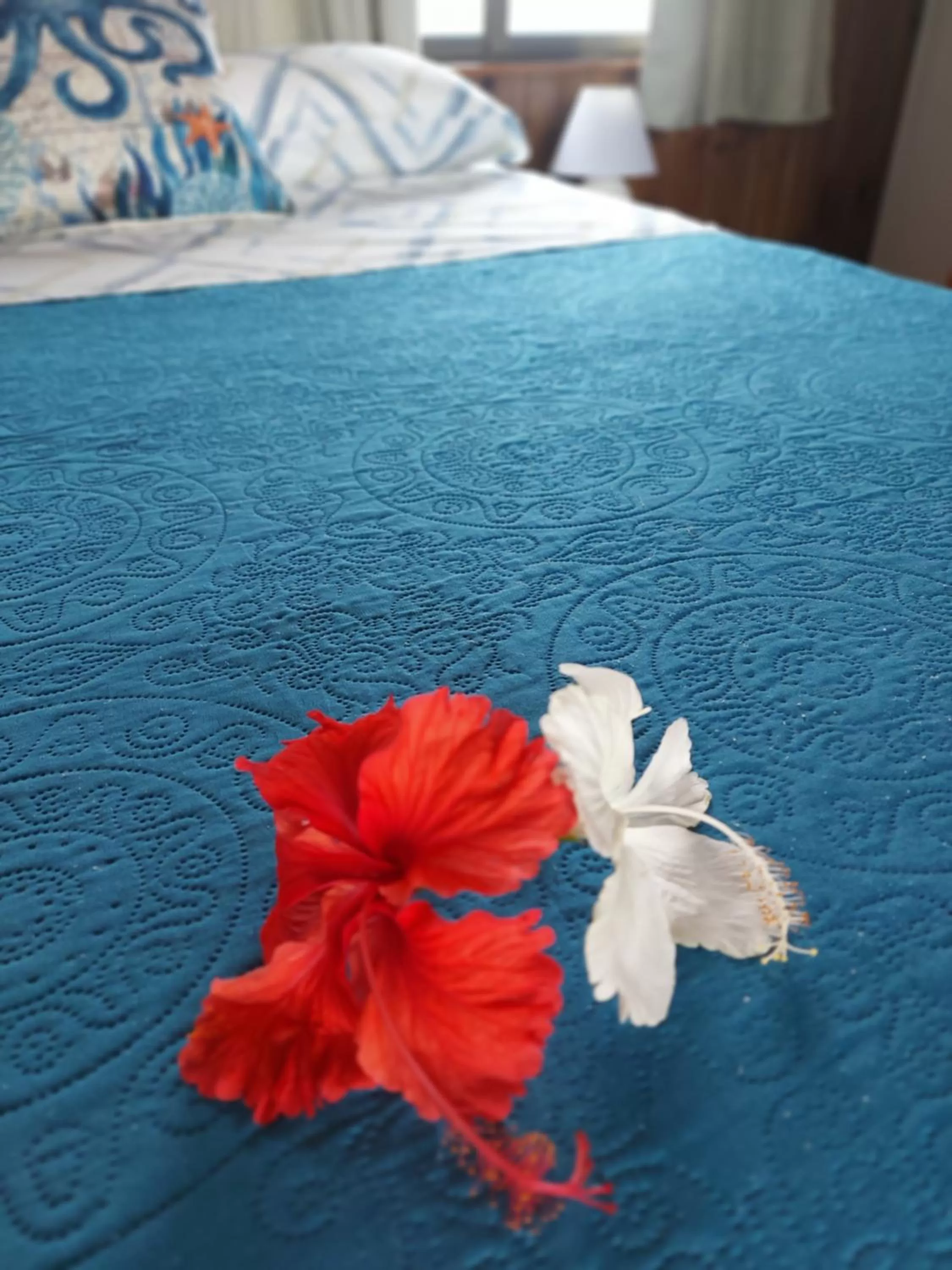 Bed in The Sunsetter Bed & Breakfast