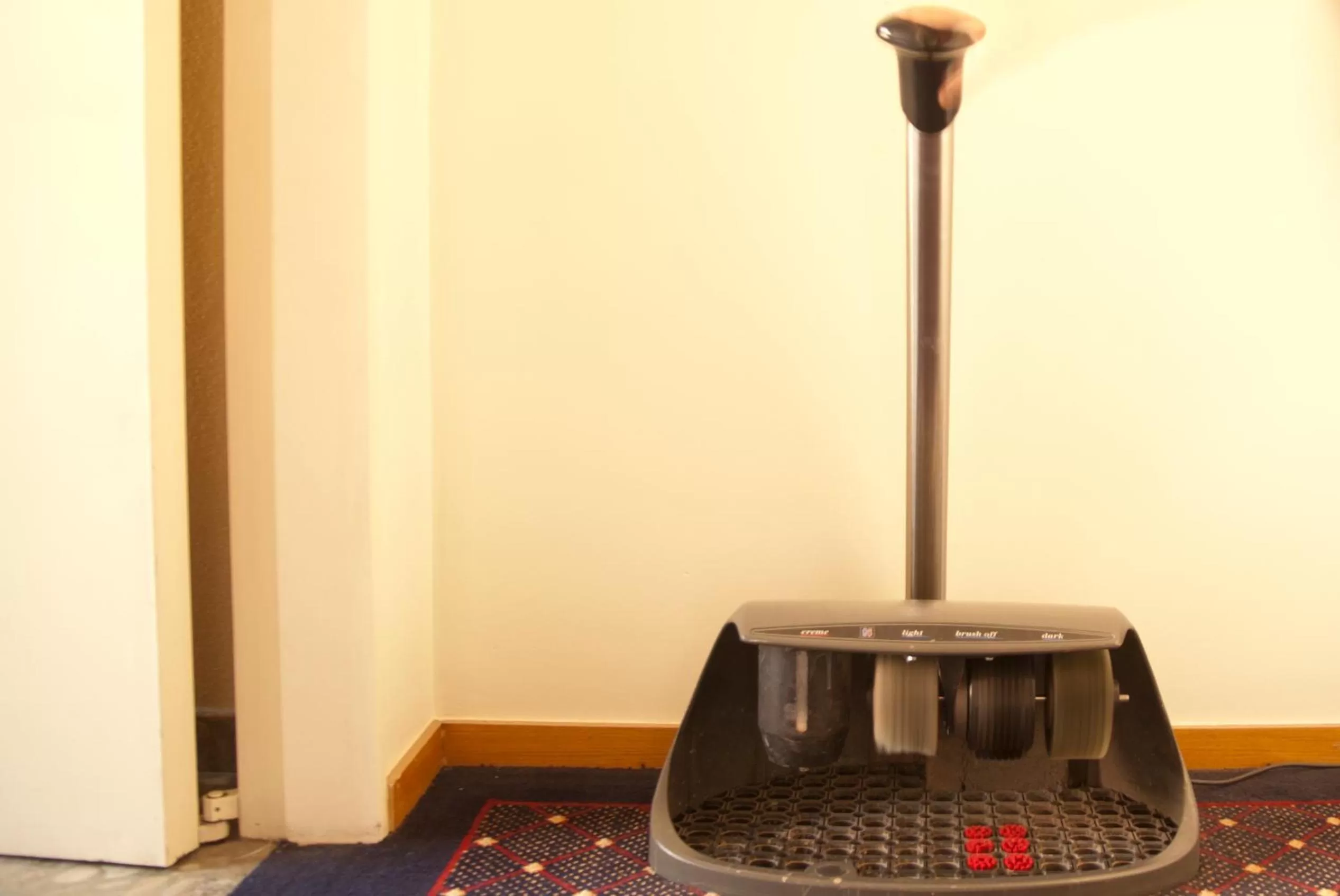 Area and facilities in Hotel Rainha D. Amélia, Arts & Leisure