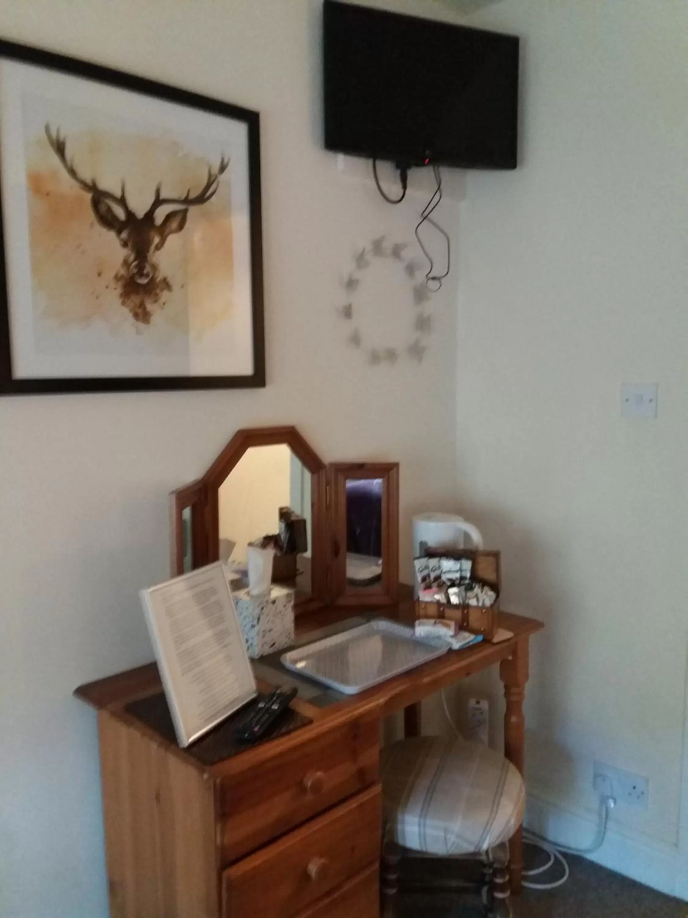 TV and multimedia, TV/Entertainment Center in Swinside Inn