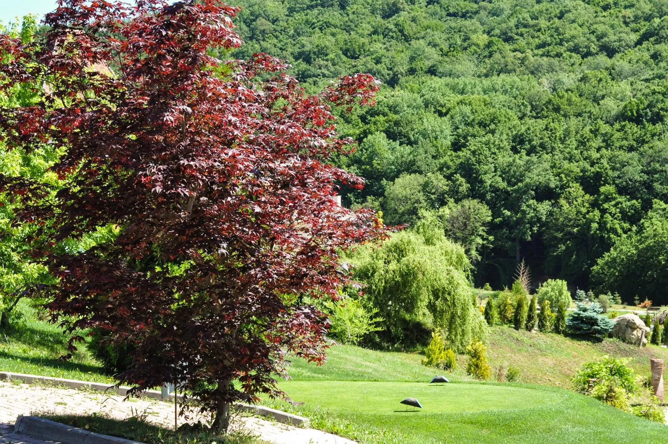 Natural landscape in SunGarden Golf & Spa Resort