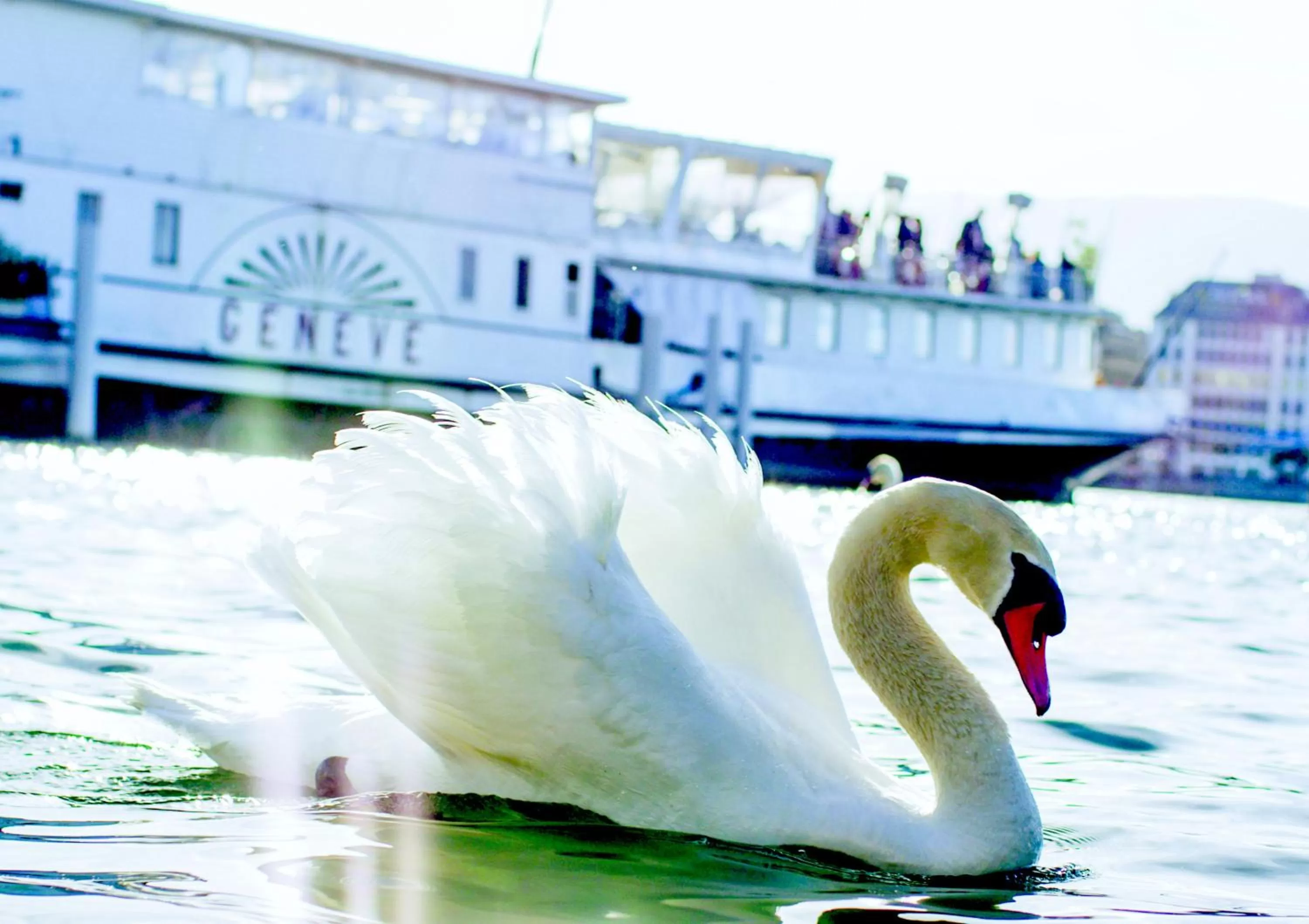 Activities in Hotel Cornavin