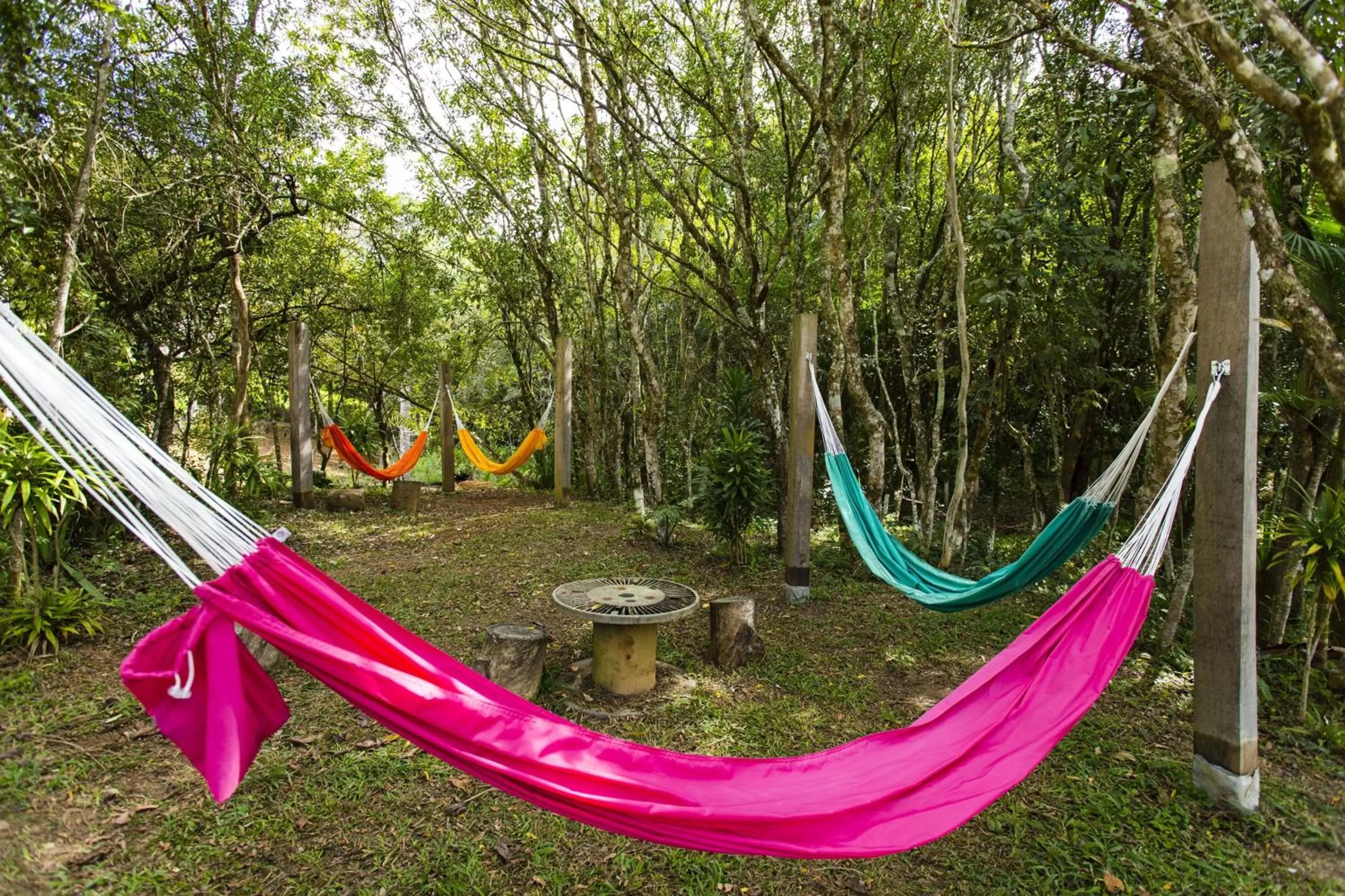 Garden in Vila Chico