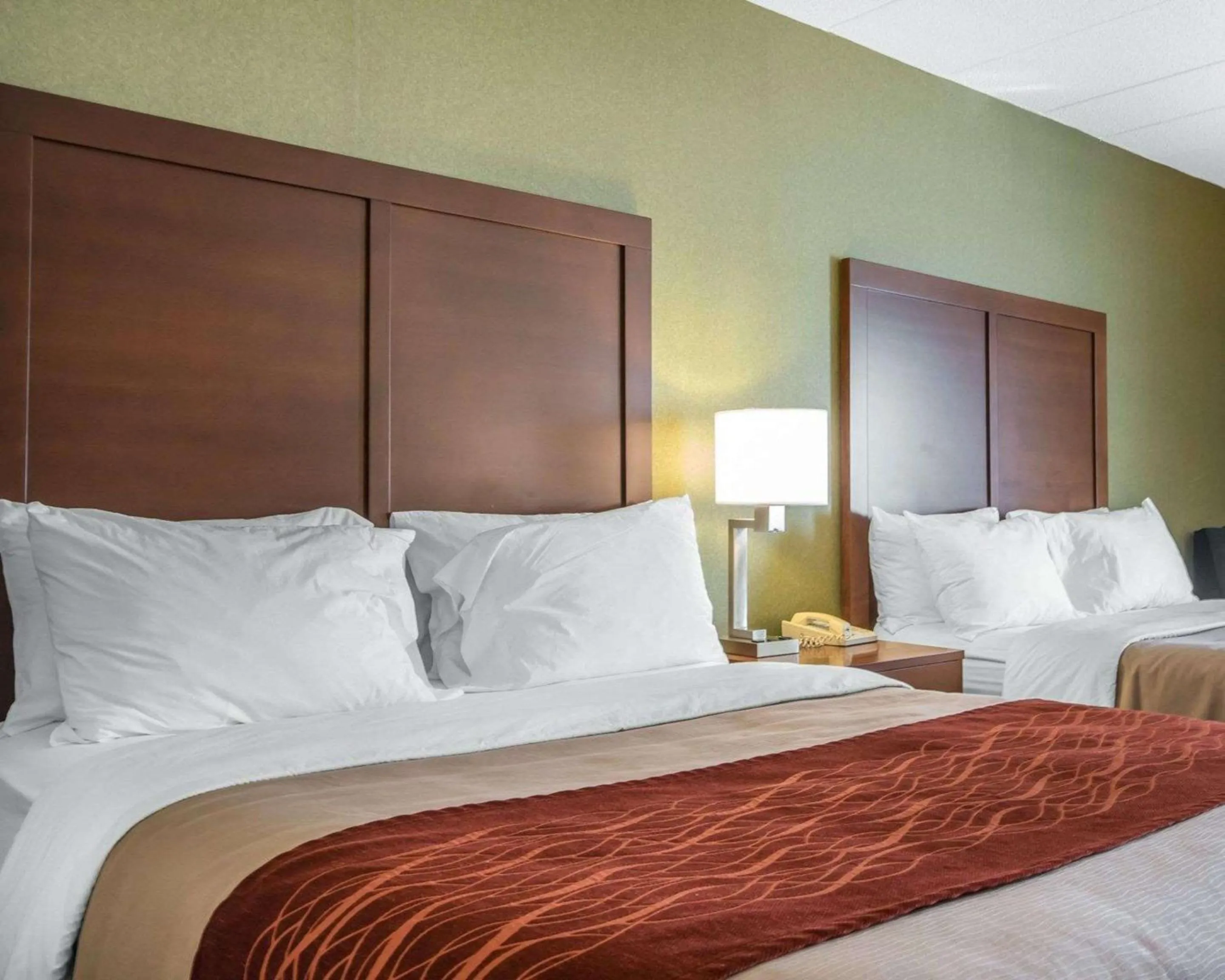 Photo of the whole room in Comfort Inn Winchester