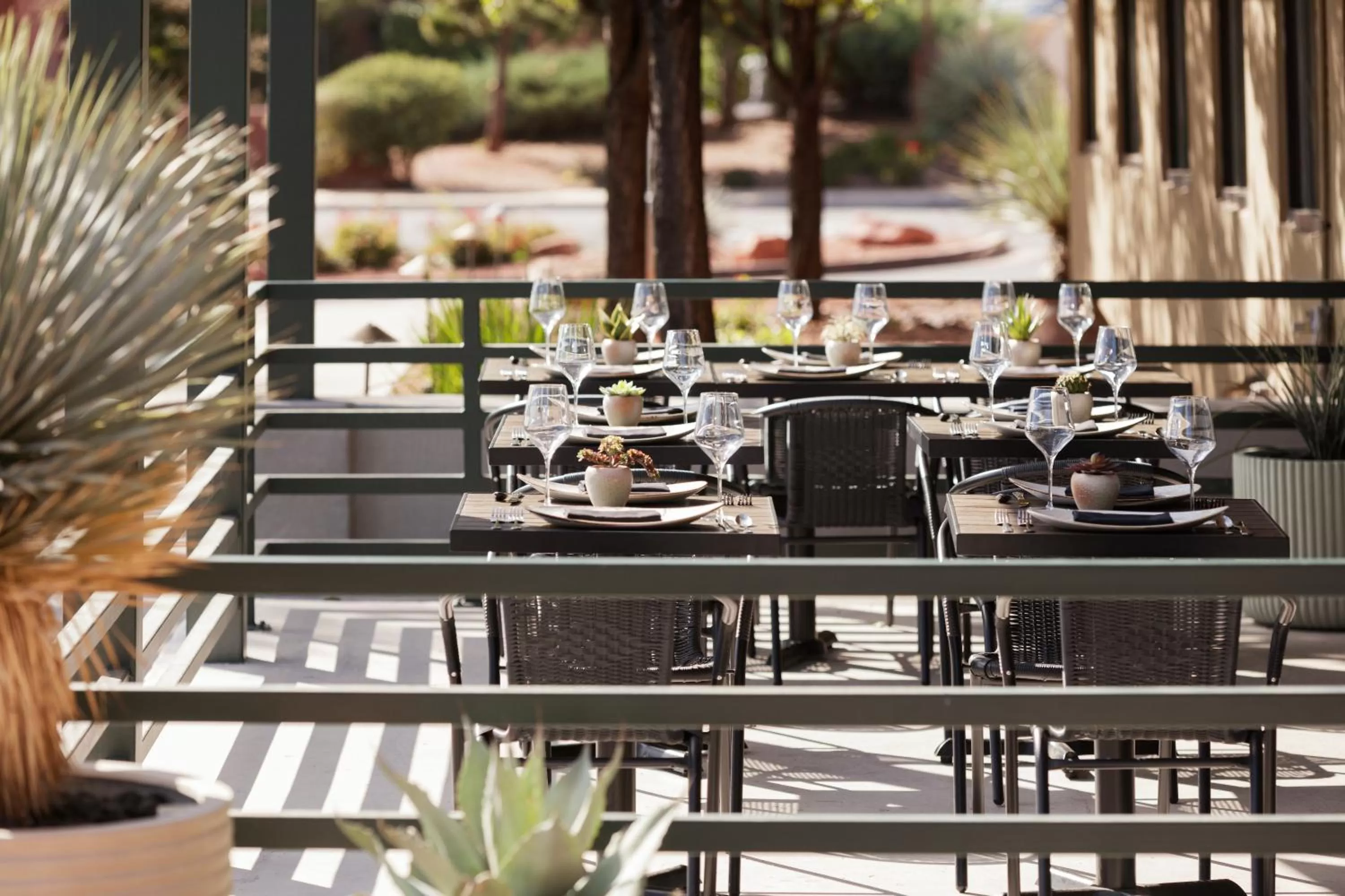 Restaurant/places to eat in The Wilde Resort and Spa