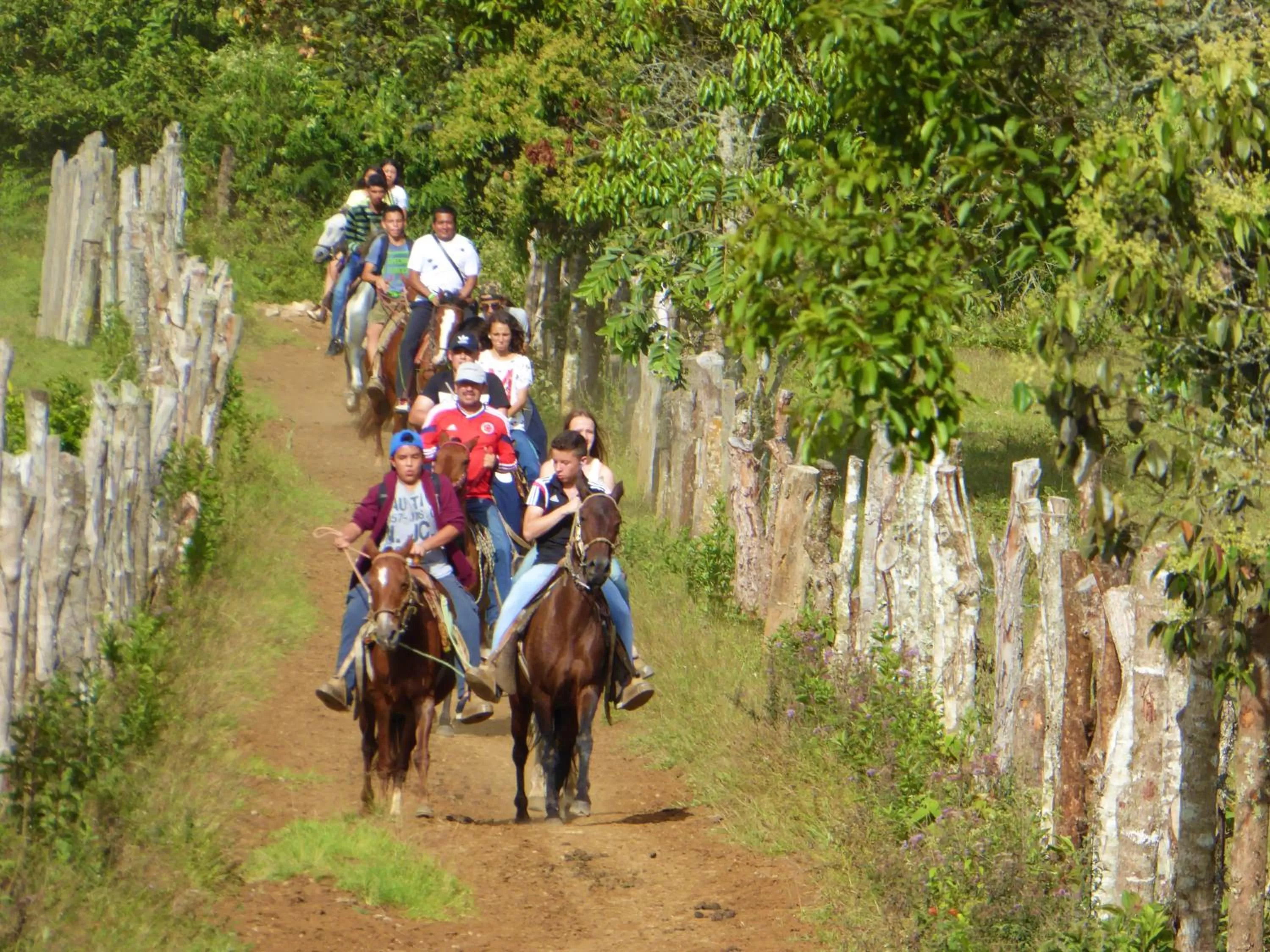 Horse-riding in Finca El Cielo