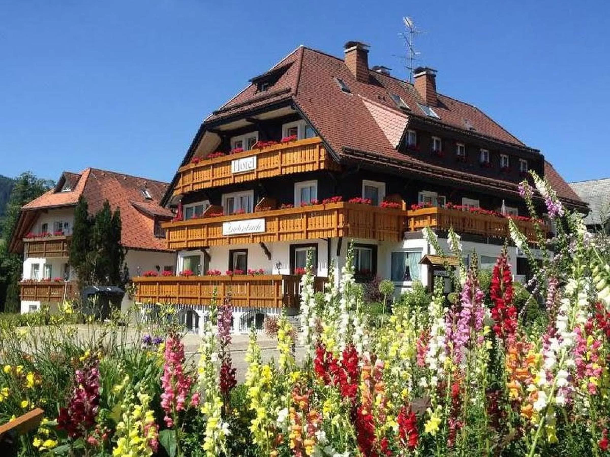 Property building in Hotel Zartenbach
