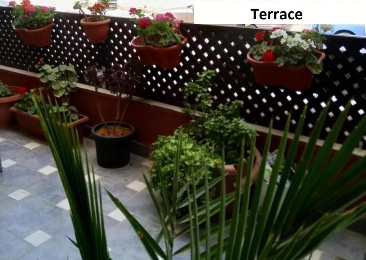 Balcony/Terrace in Rumman Hotel