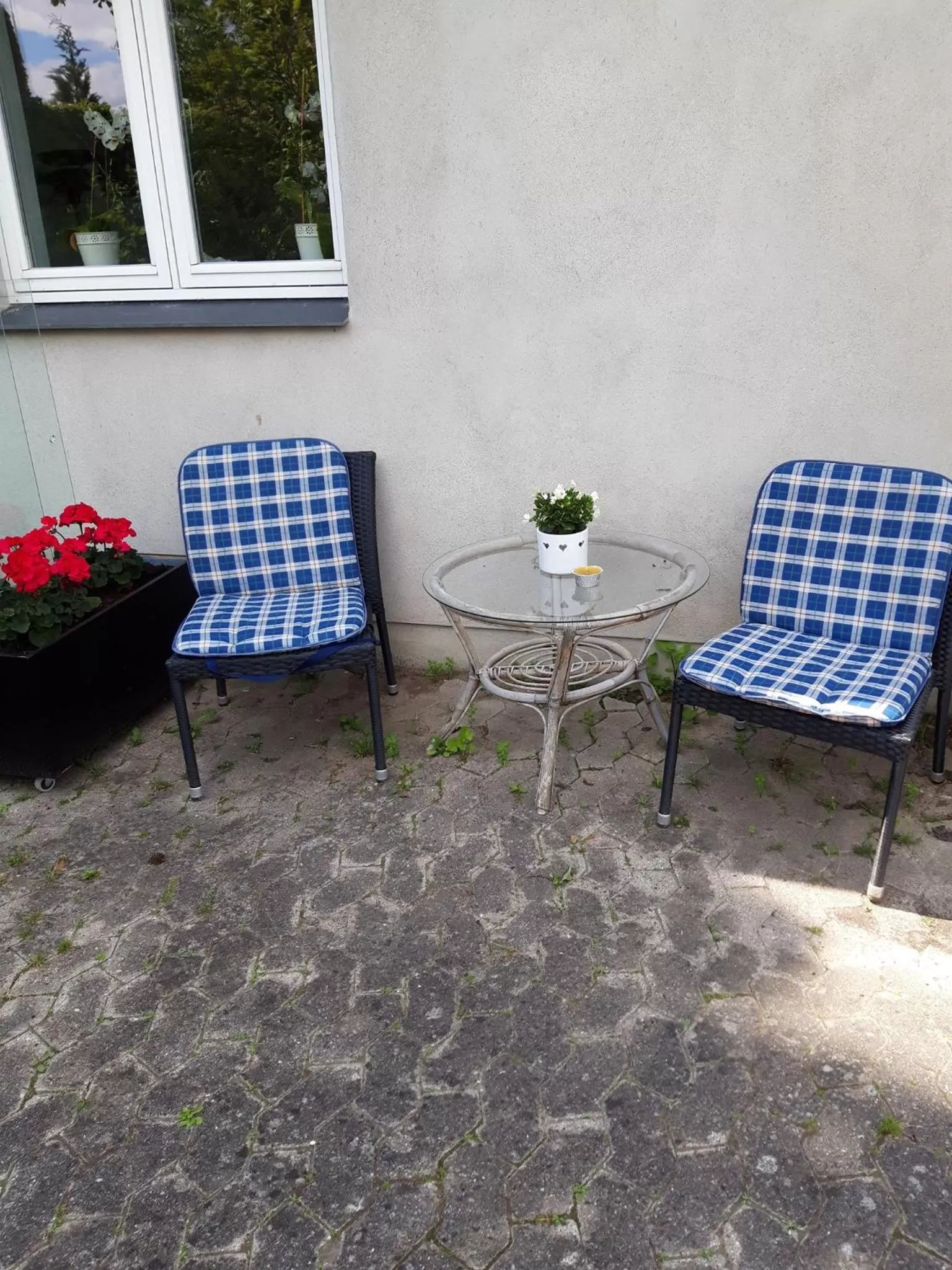 Seating Area in Villa Wolte Bed and Breakfast