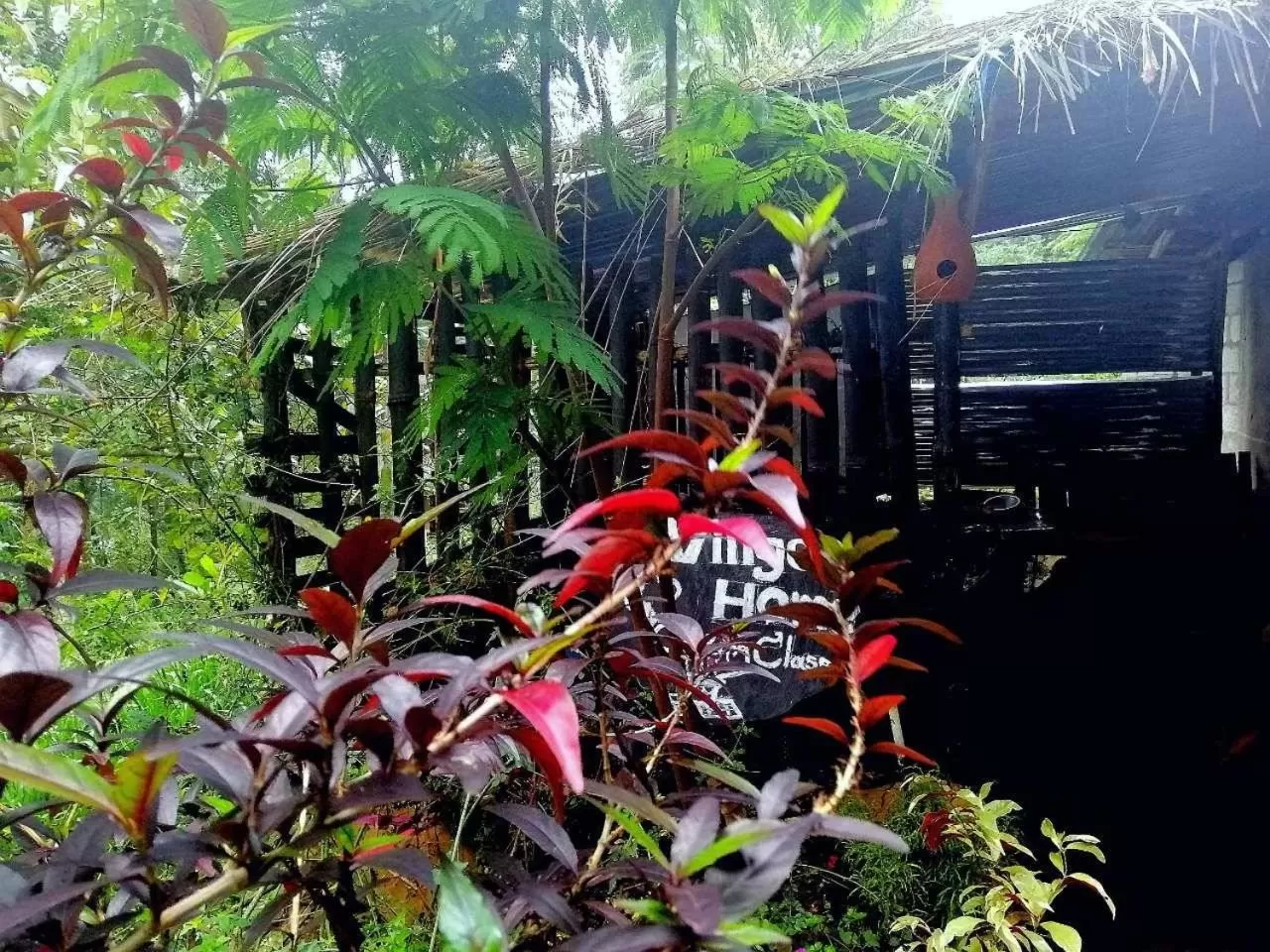 Natural landscape in The Horizon Root Inn