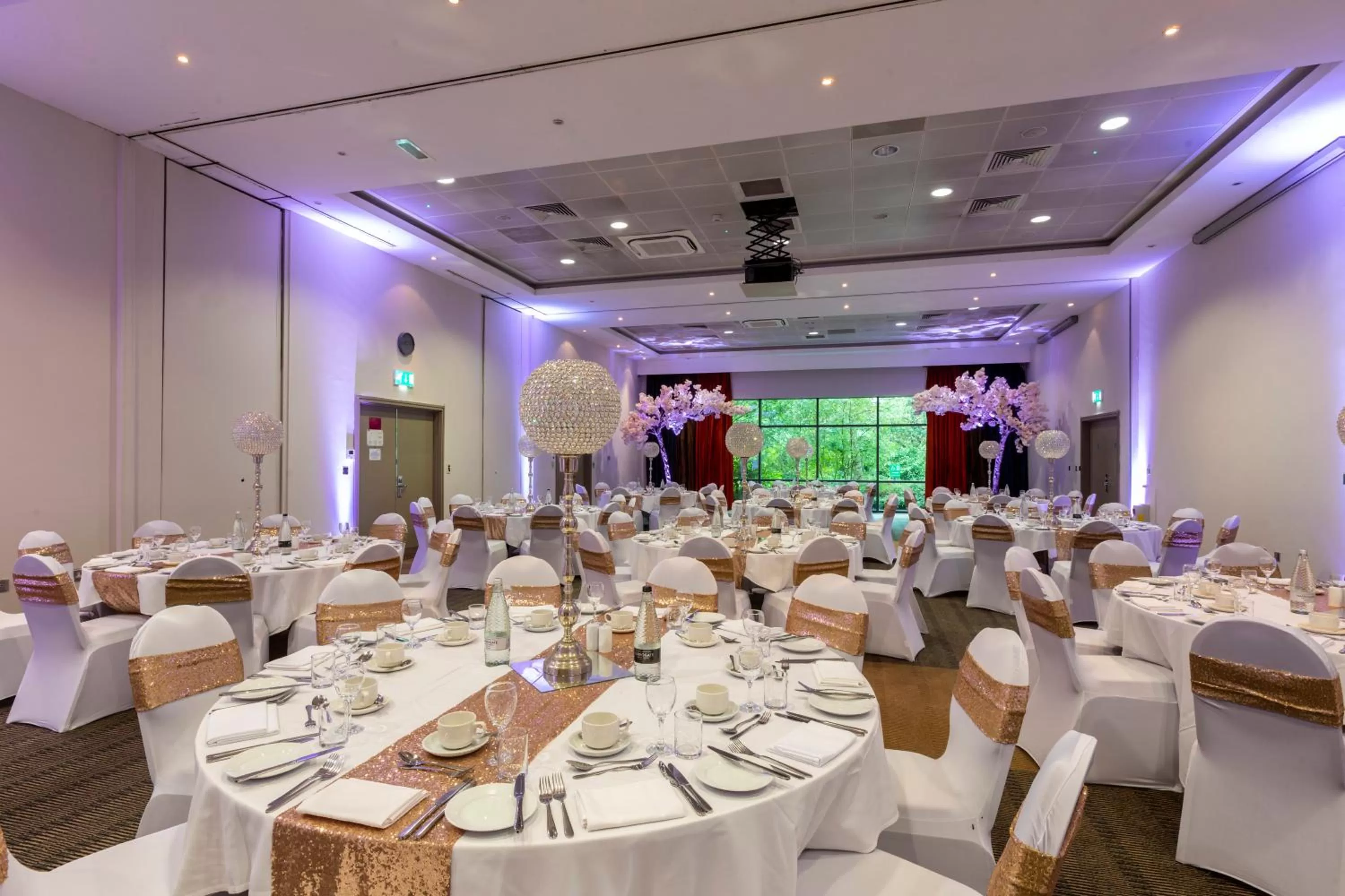 Banquet/Function facilities in Crowne Plaza Birmingham NEC by IHG