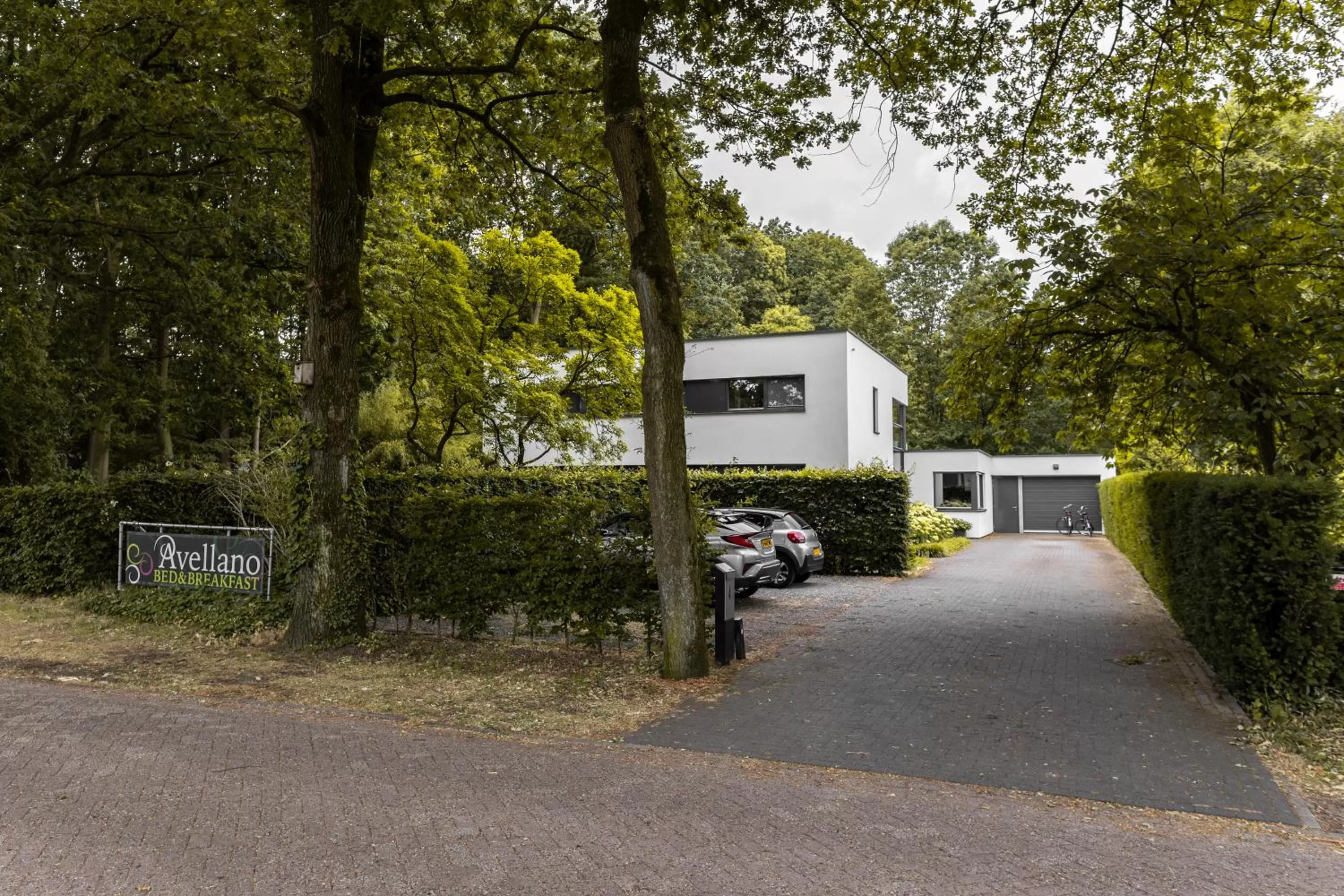 Property building in Avellano