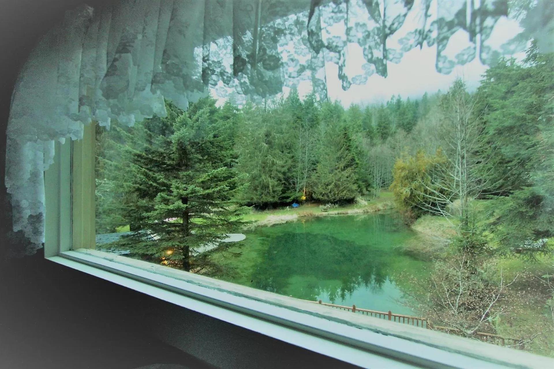 Lake view in Alexander's Lodge