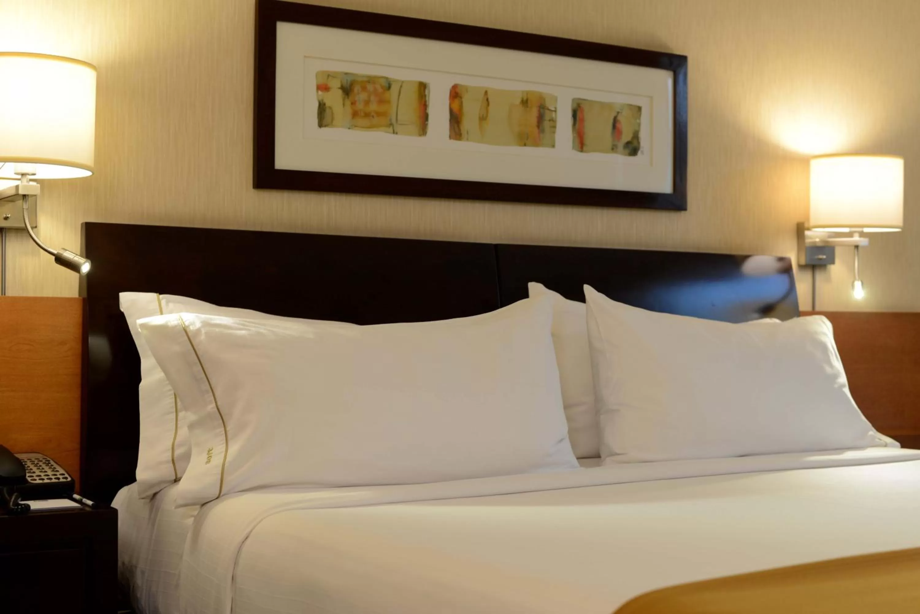 Holiday Inn Express Santiago Las Condes by IHG