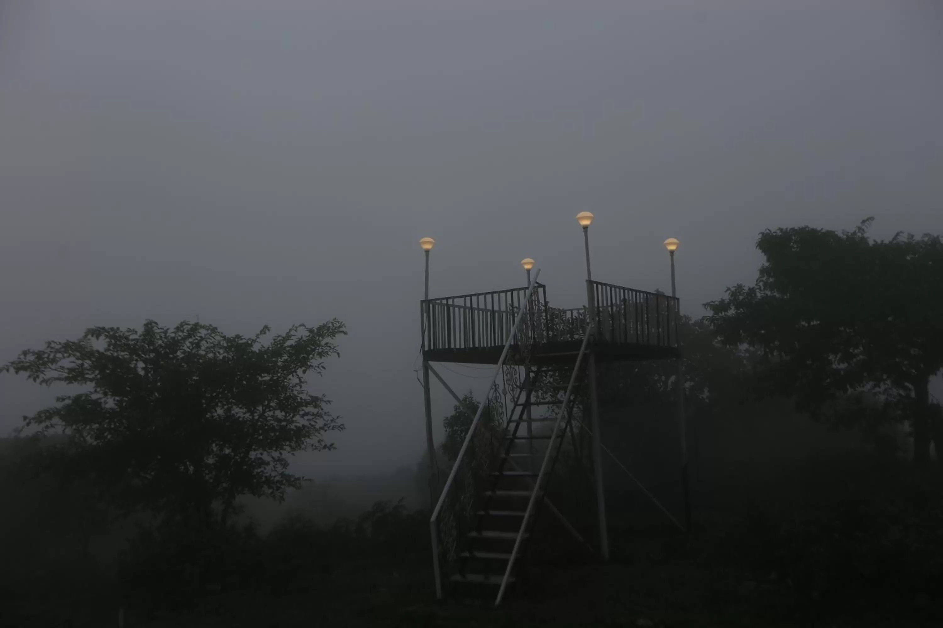 View (from property/room) in Ashoka Villa 3 BHK Mahabaleshwar