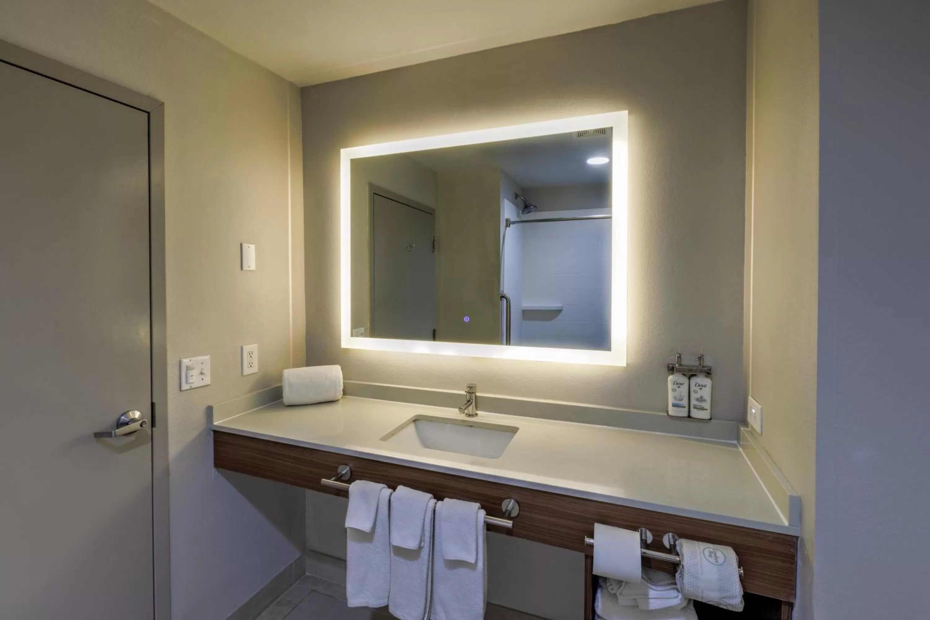 Bathroom in Holiday Inn Express & Suites Shelbyville Indianapolis by IHG