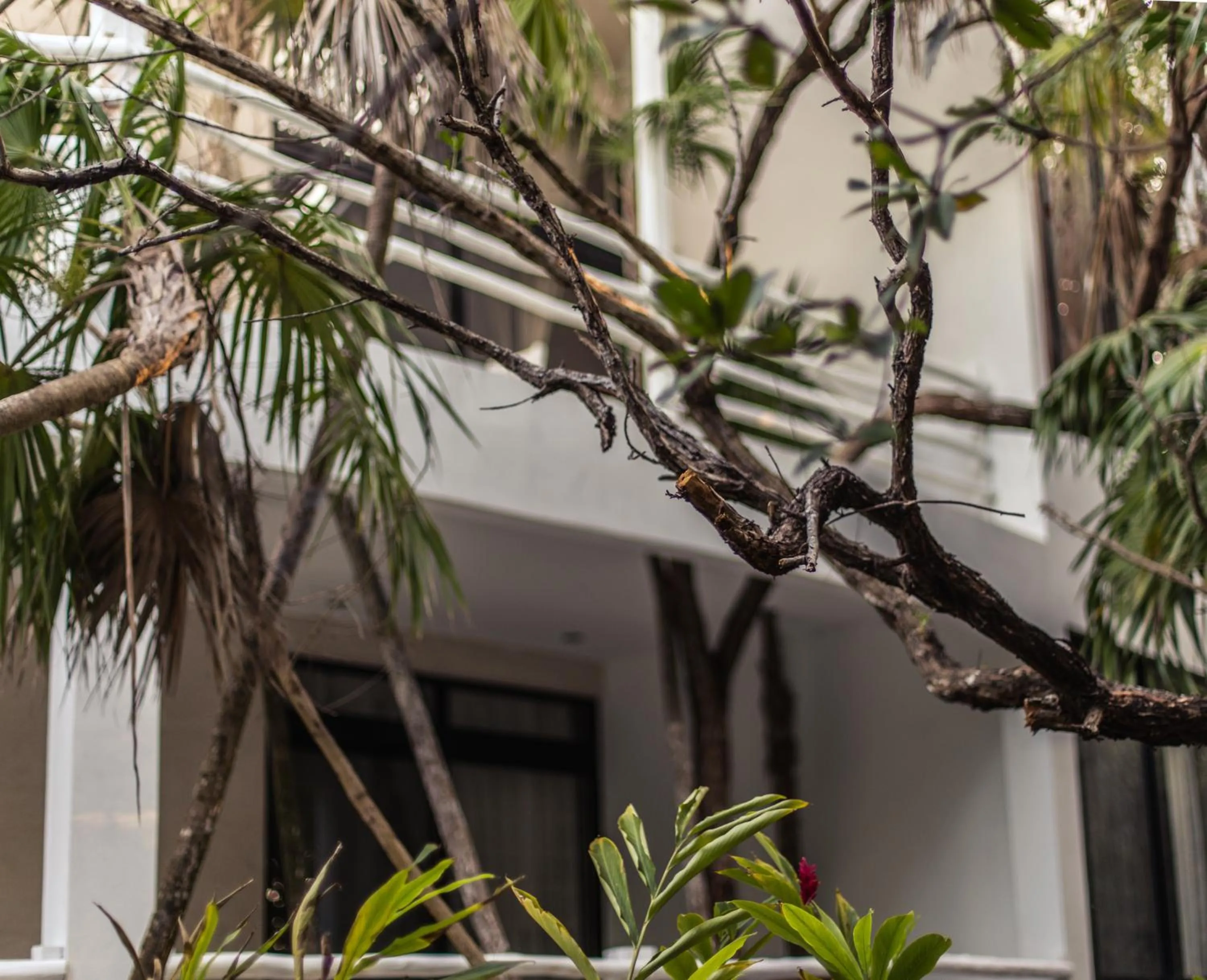 Patio in Casa Ambar Hotel & Boutique Tulum