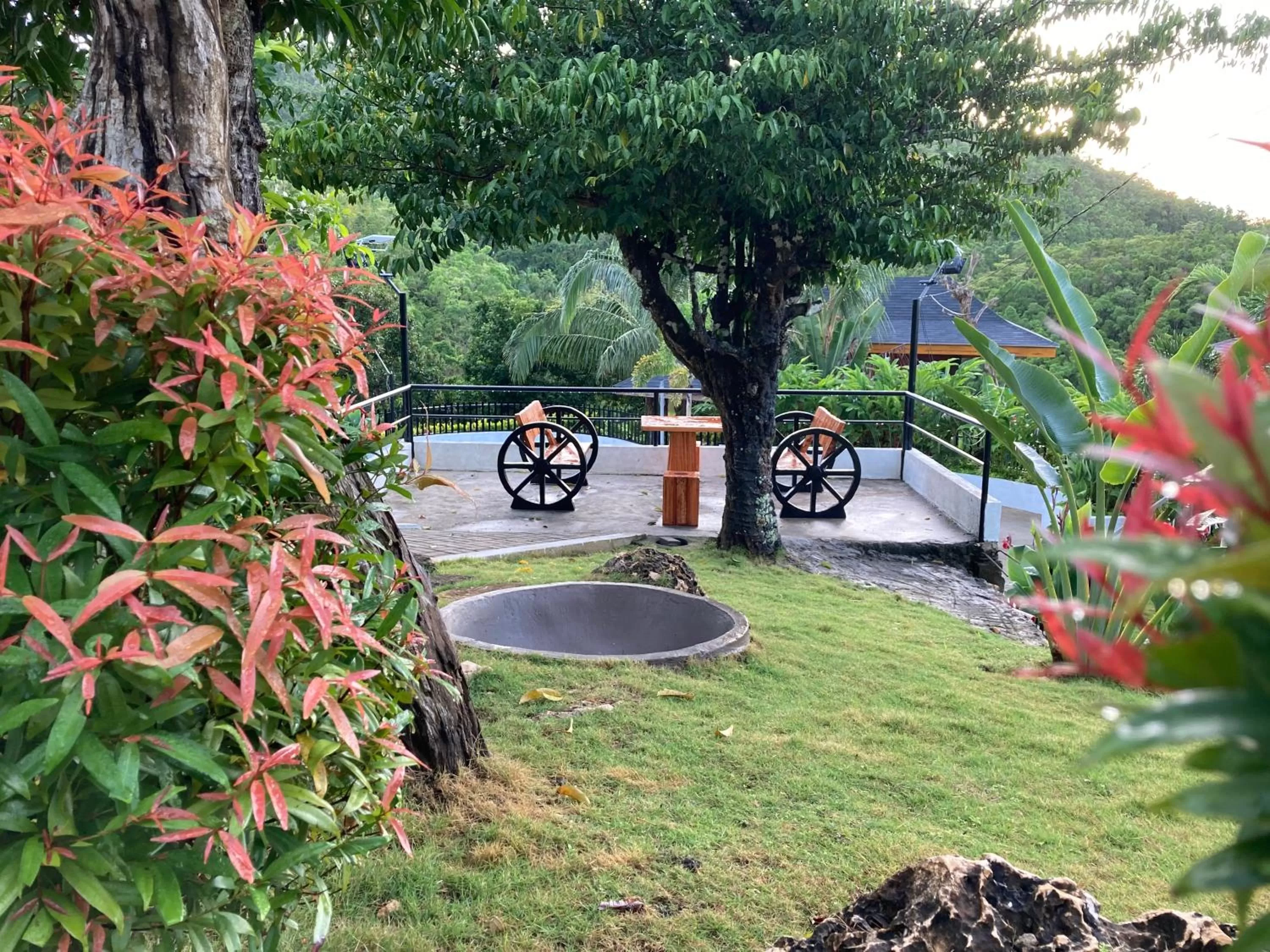 Garden in MS Mountain Cabin