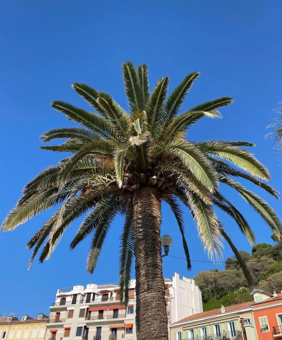 Natural landscape in Le Riviera Collection, Signature Collection by Best Western