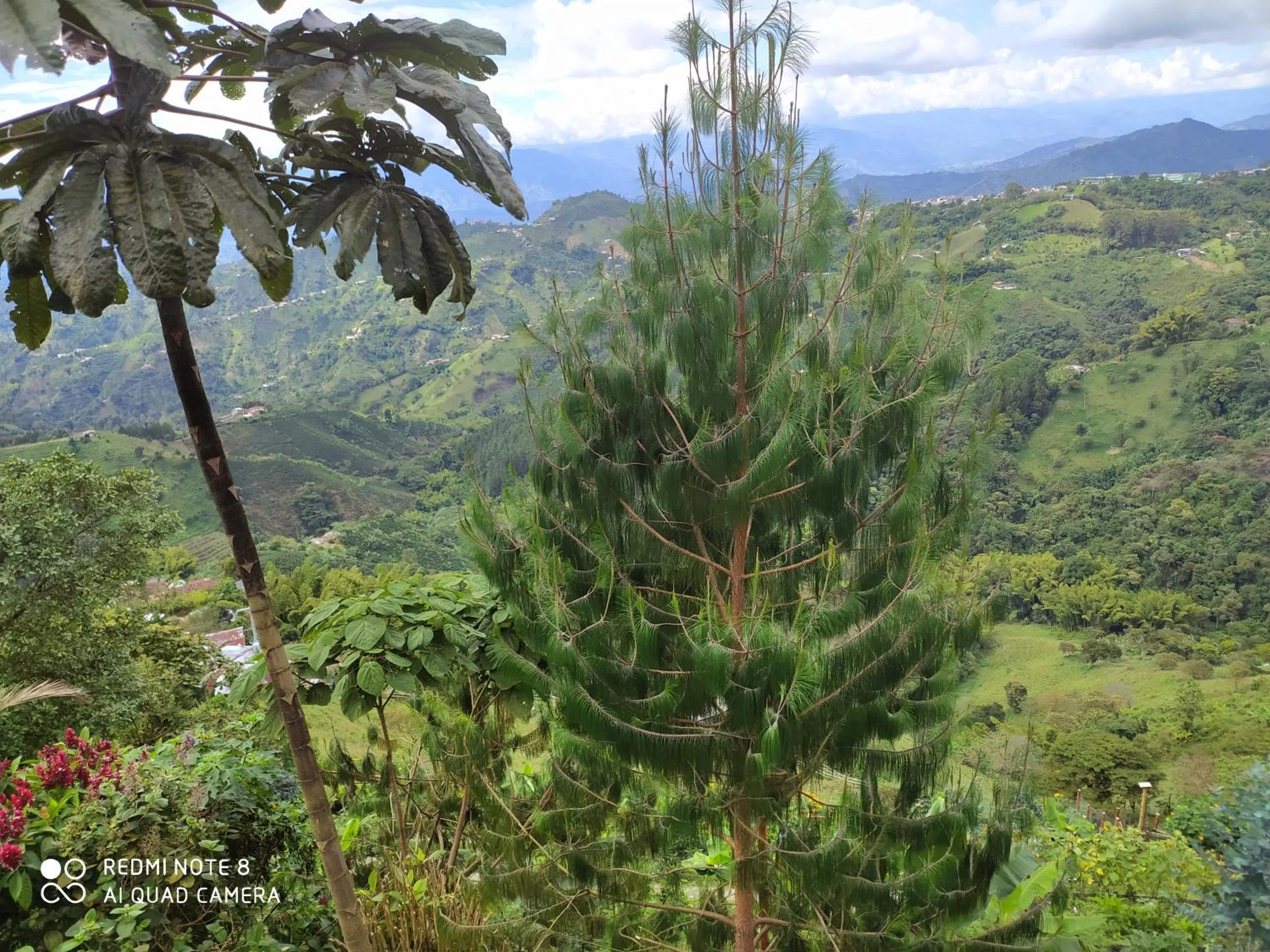 Mirador Finca Morrogacho