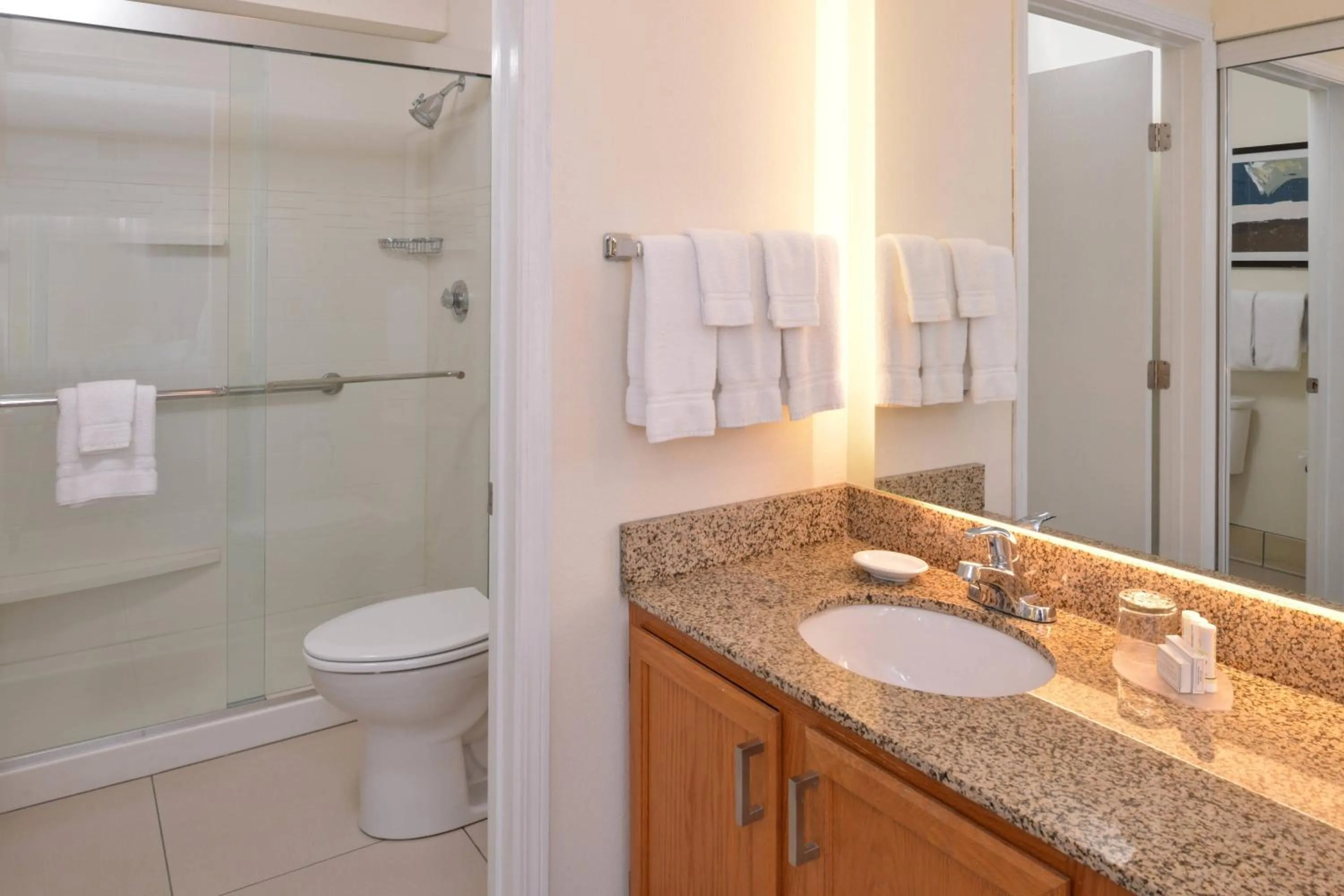 Bathroom in Residence Inn by Marriott Dayton Troy
