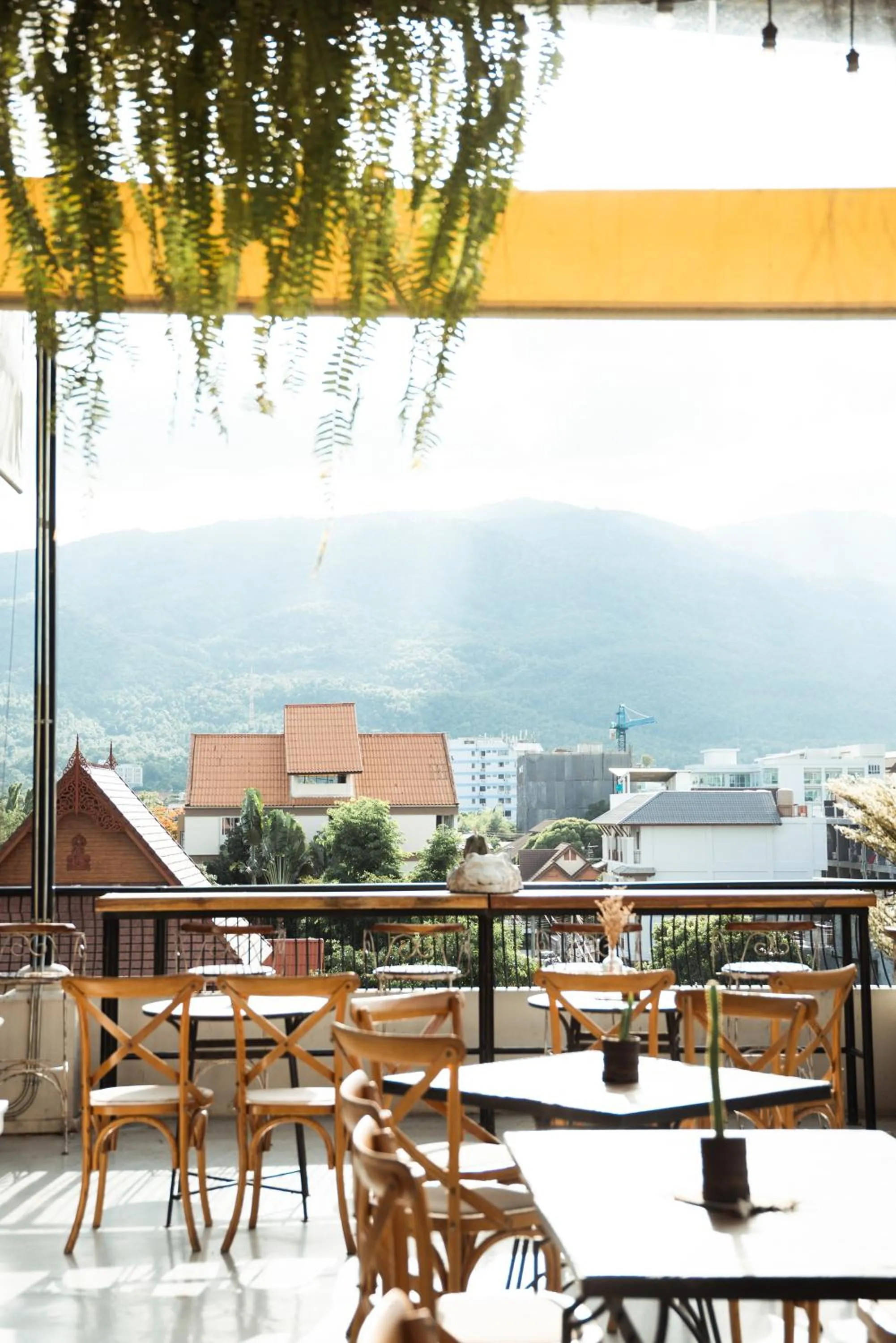 Natural landscape in Hotel Yayee