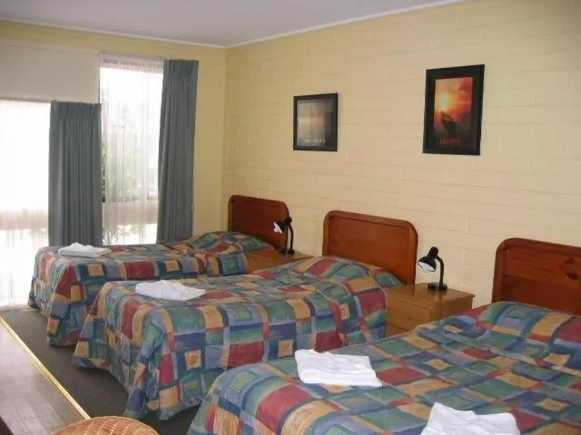 Bed in Gisborne Motel