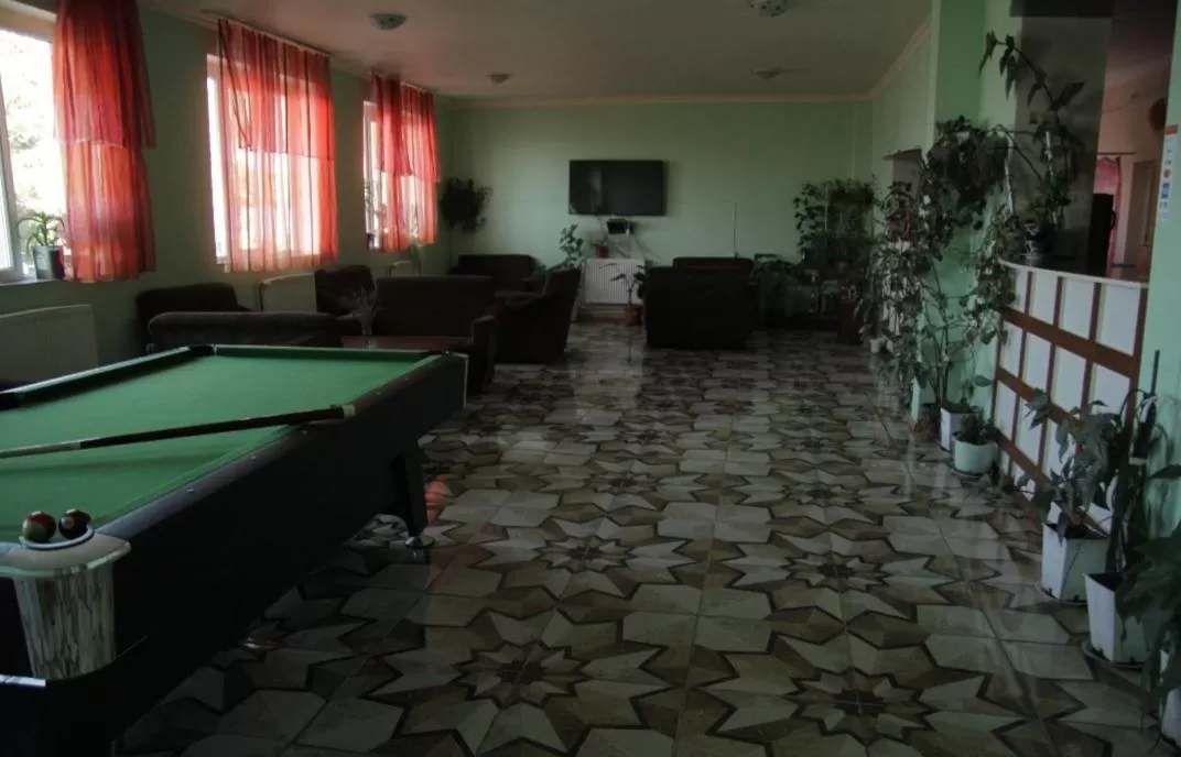 Communal lounge/ TV room, Billiards in Tsalka