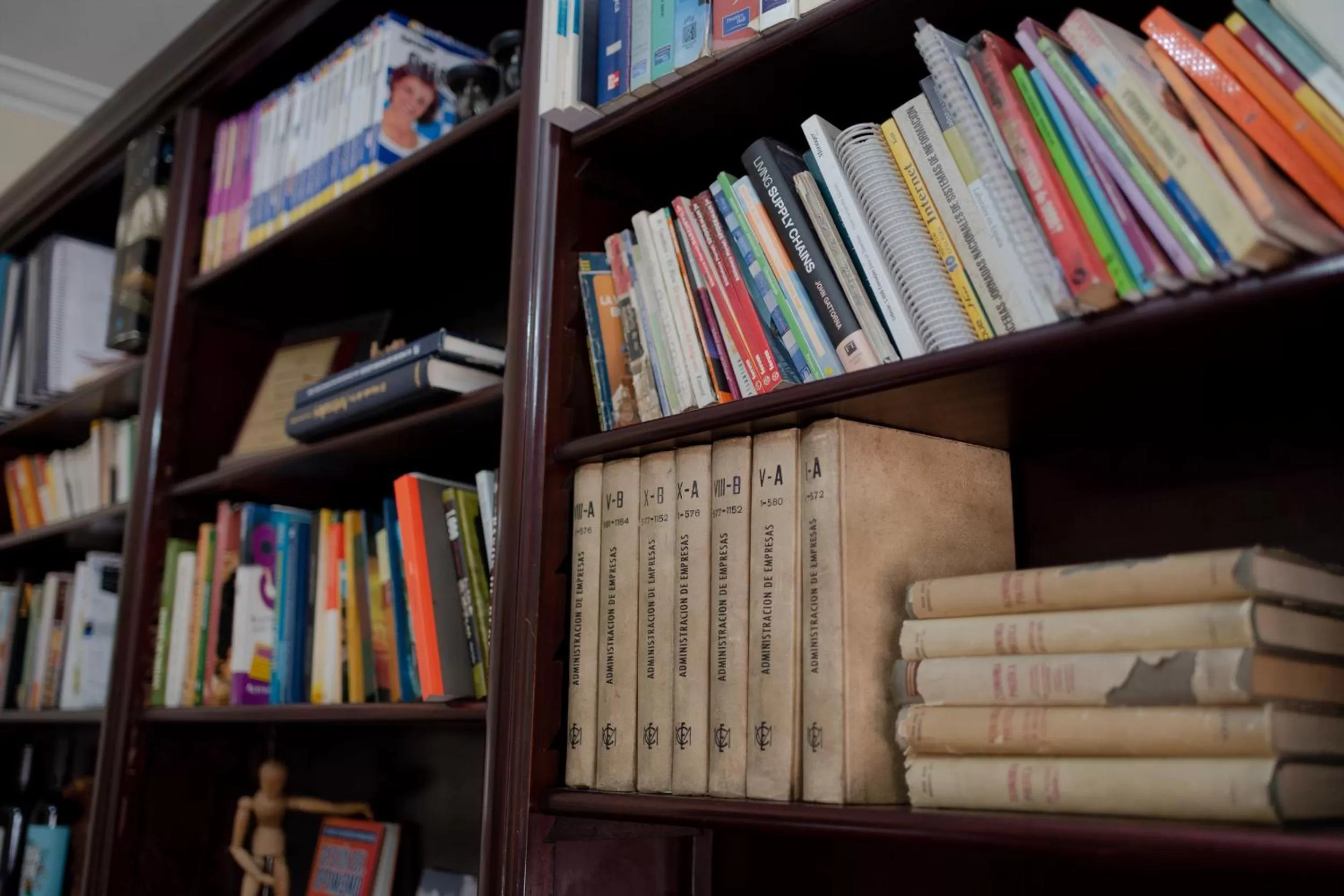 Library in Juana Banana Bed and Breakfast