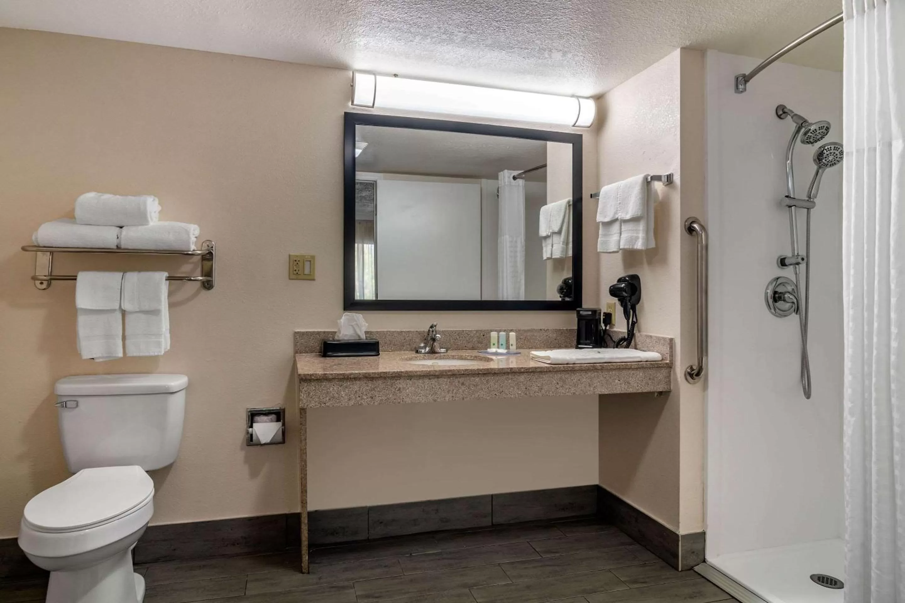 Bathroom in Quality Inn McDonough Atlanta South