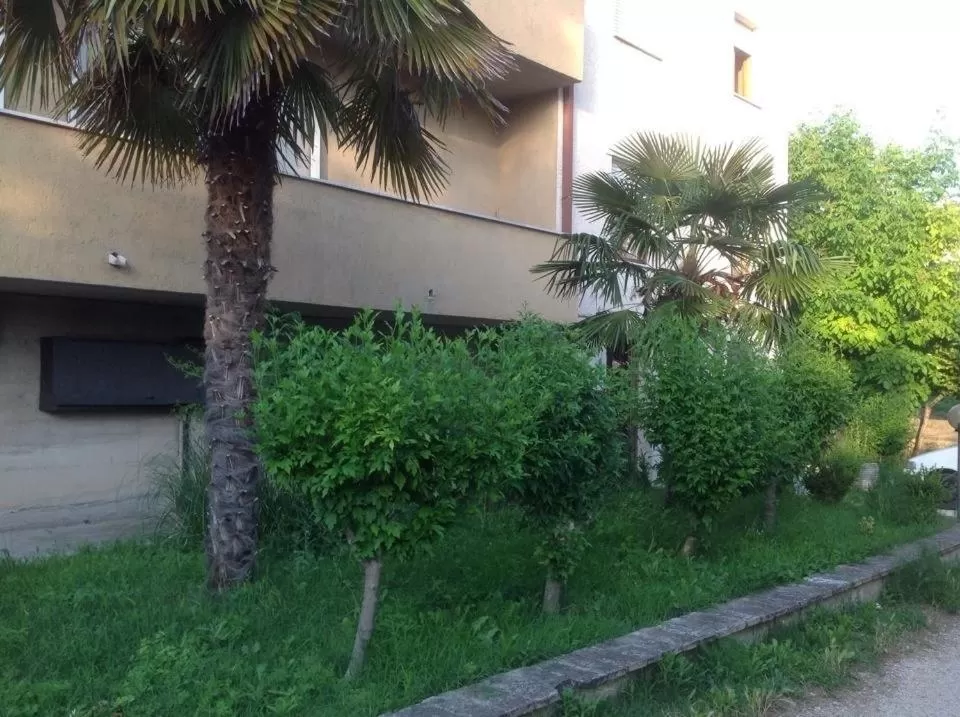 Day in Il Giardino del Gallo