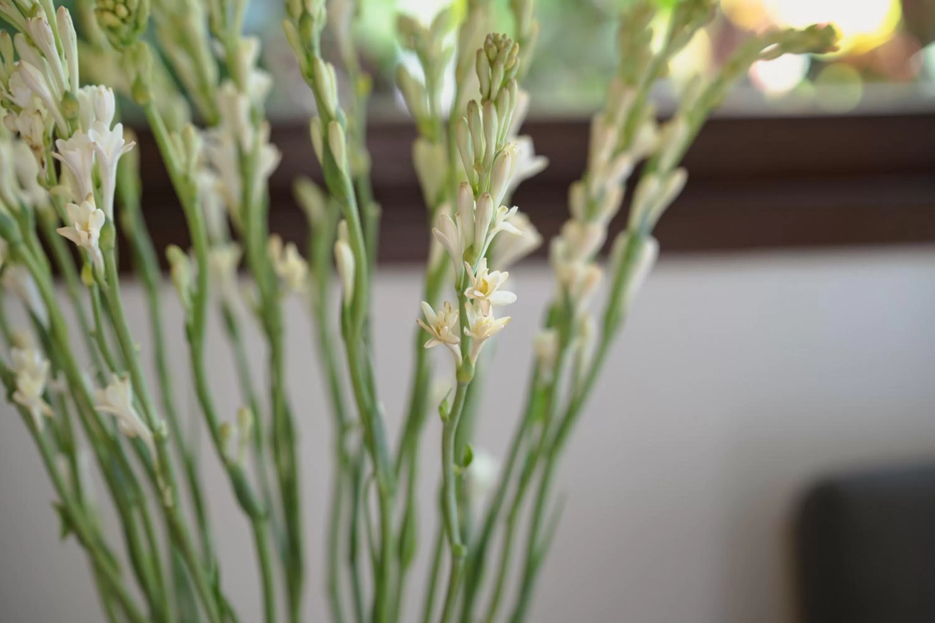 View (from property/room) in Surya Kembar Villas