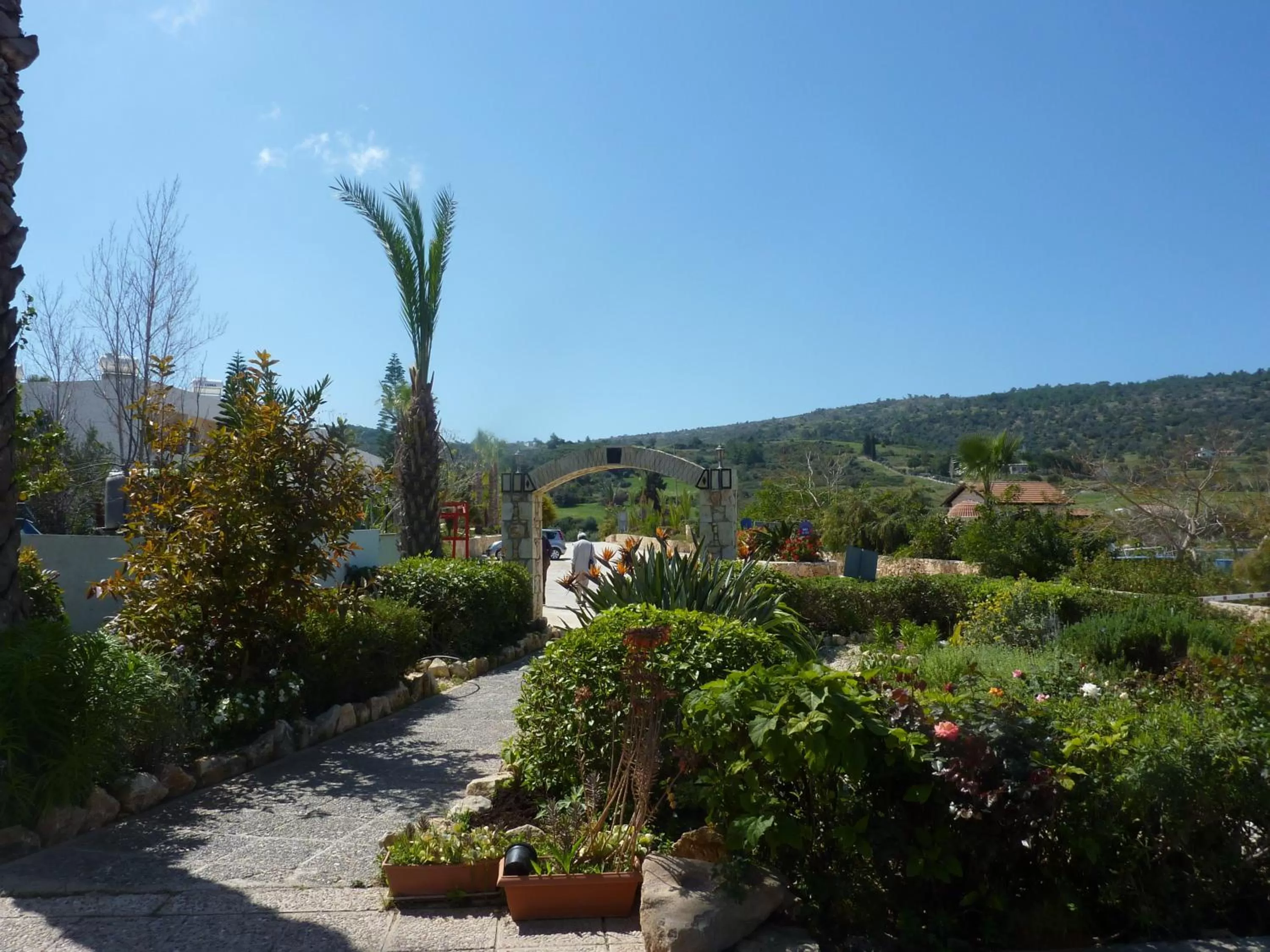 Garden in Aphrodite Beach Hotel
