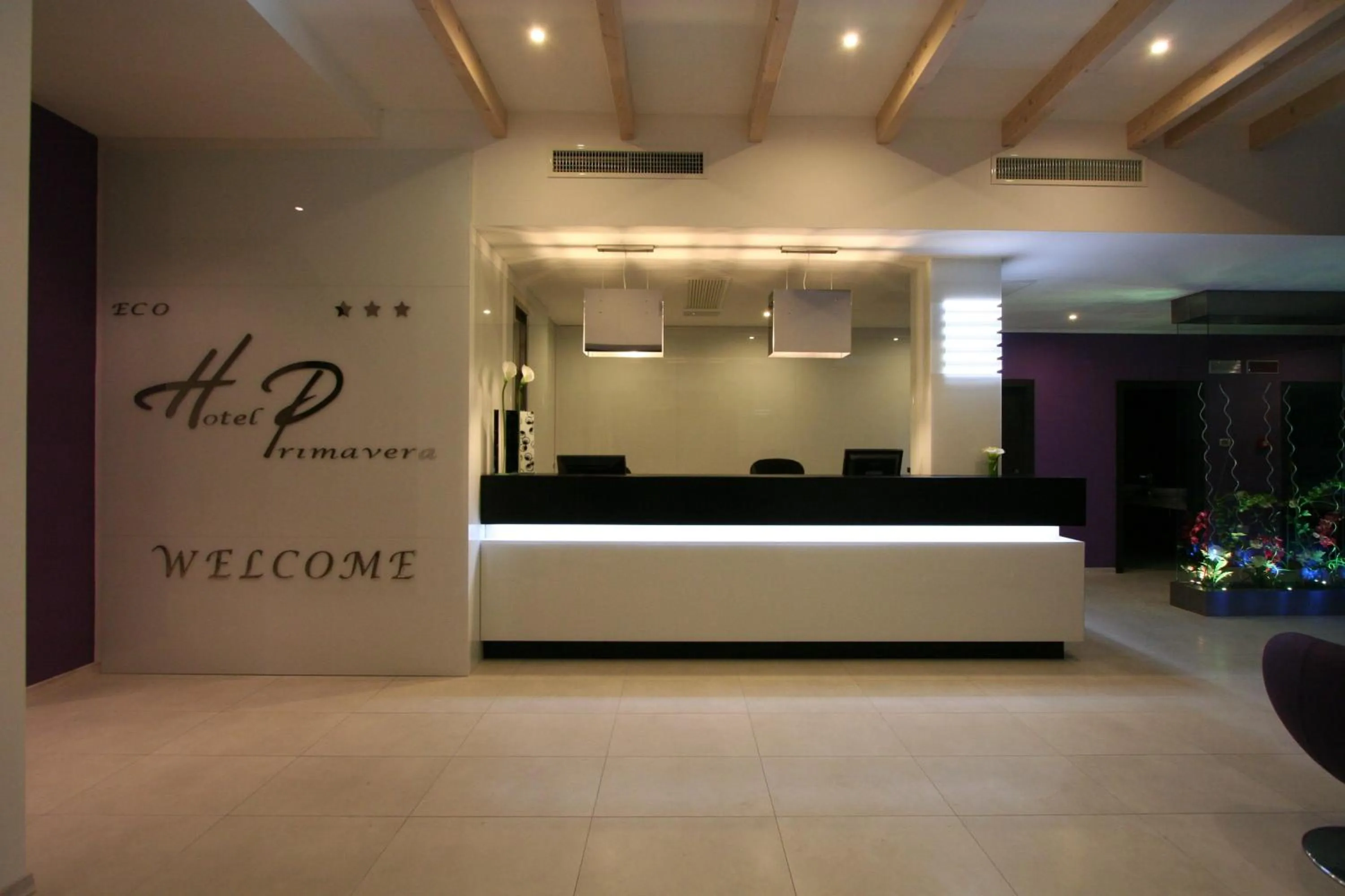 Lobby or reception in Ecohotel Primavera