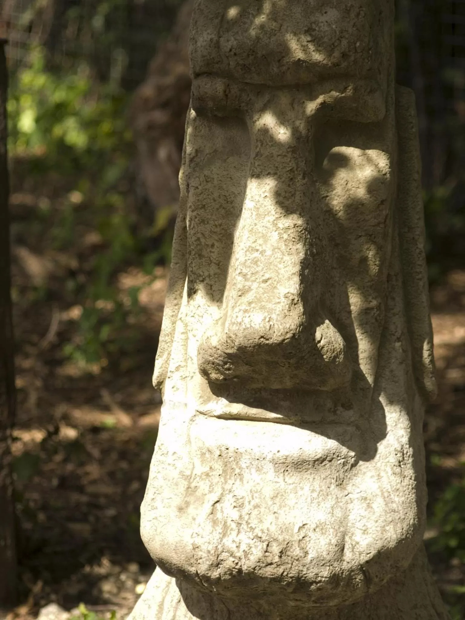 Garden, Other Animals in The Broad Leys