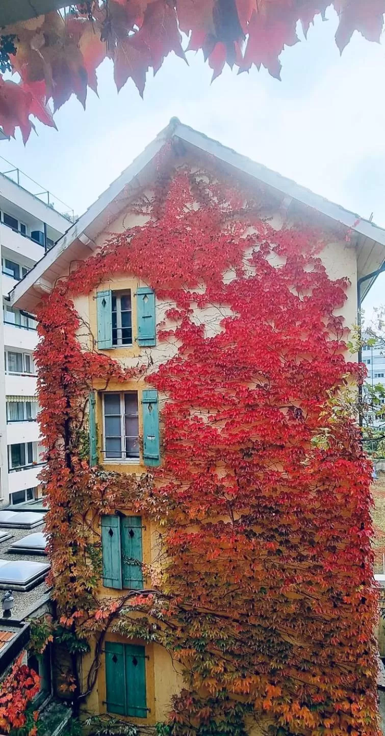 Appart'Hôtel Residence Dizerens