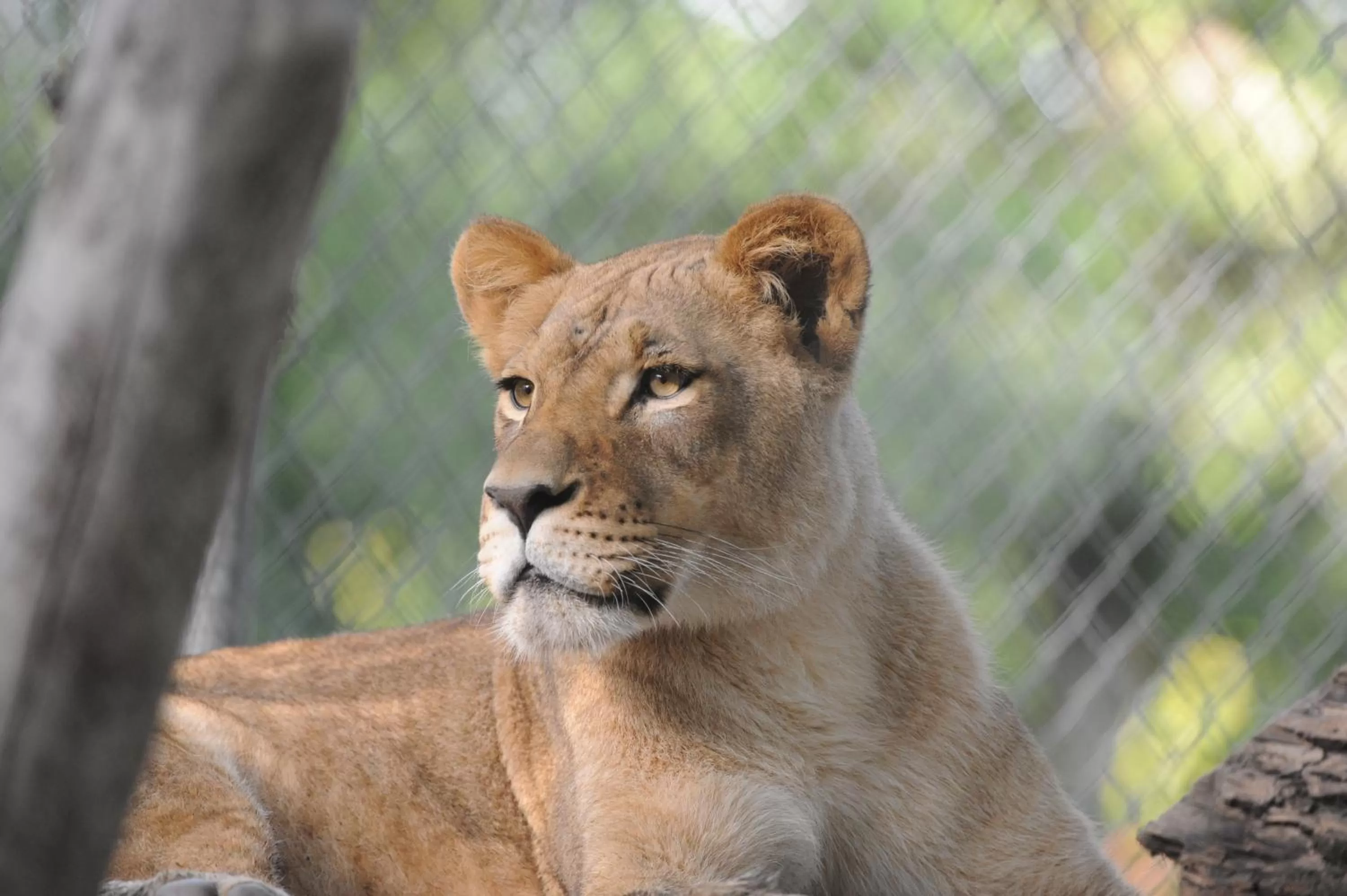 Off site in Country Inn & Suites by Radisson, Minot, ND