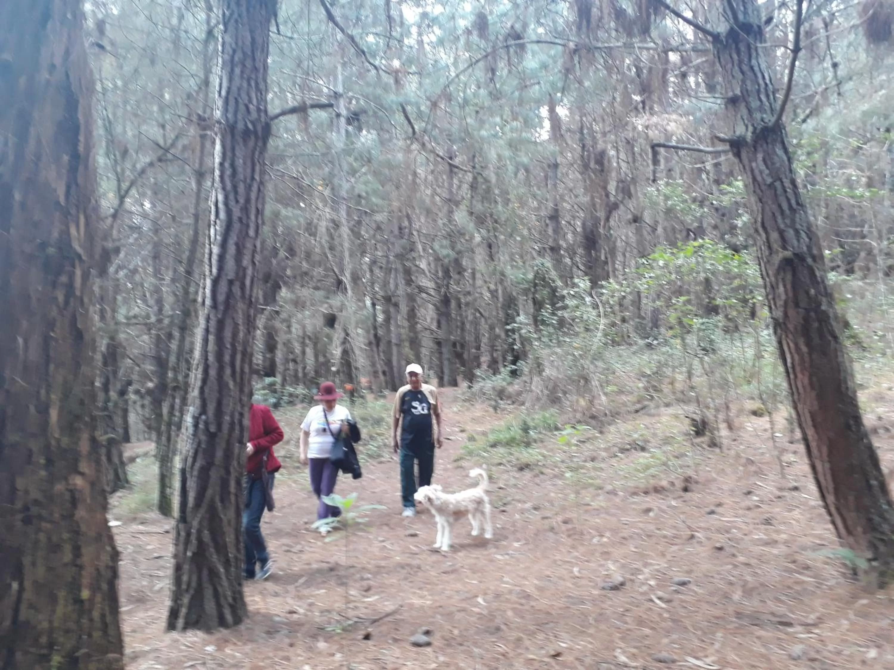Hiking in El Cardenal Hotel