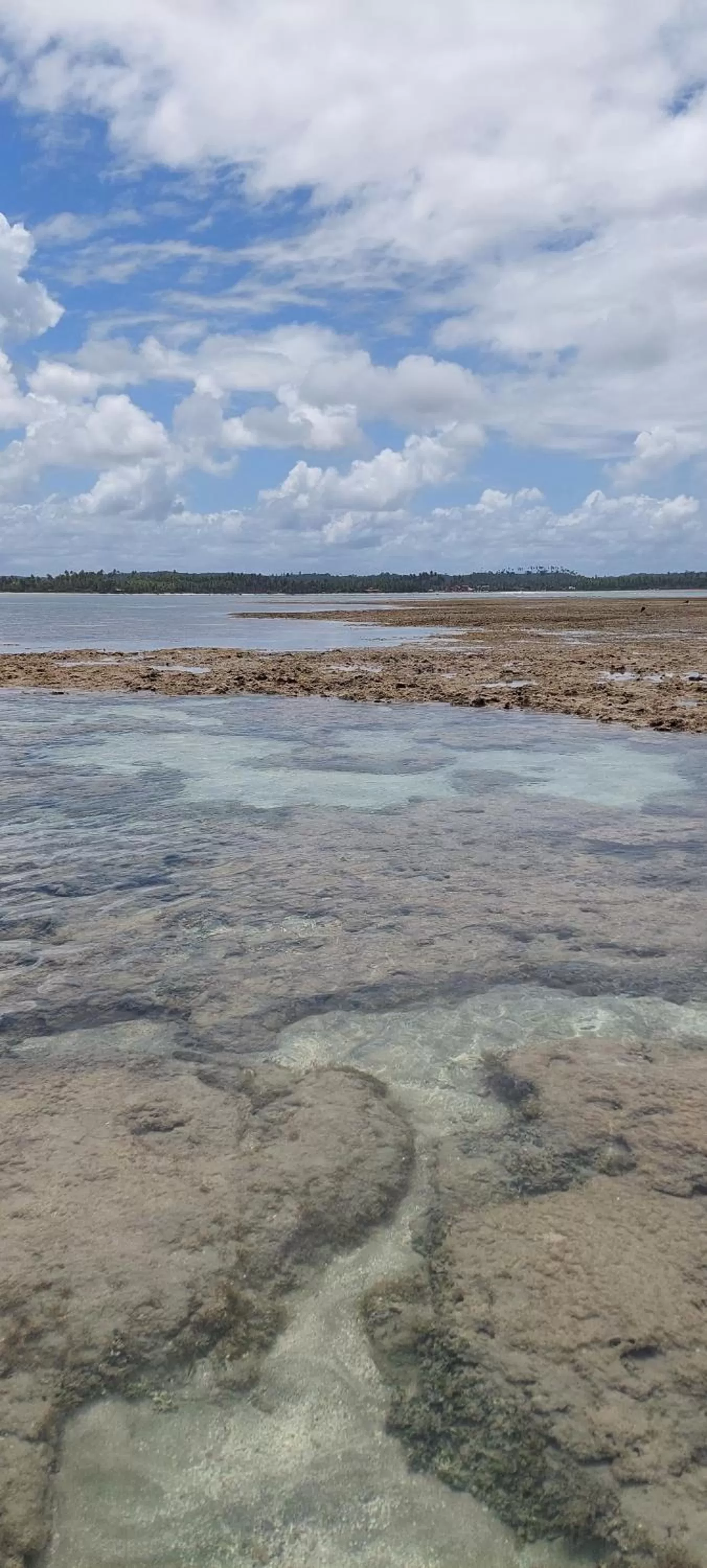 Natural landscape in Arataba Hotel Boutique e Bistrô - 150 mts do mar