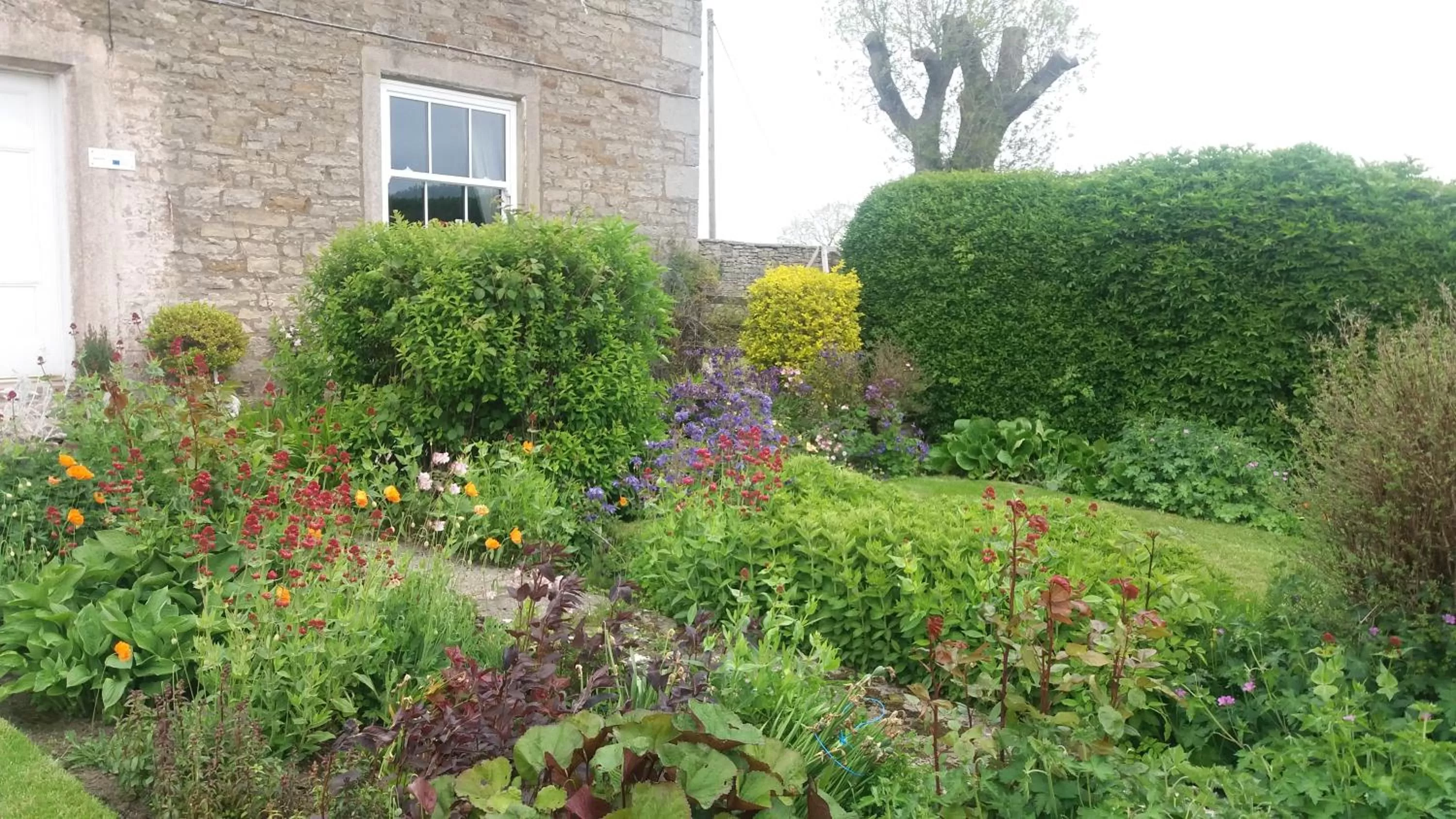 Property building, Garden in Lily Hill Farm