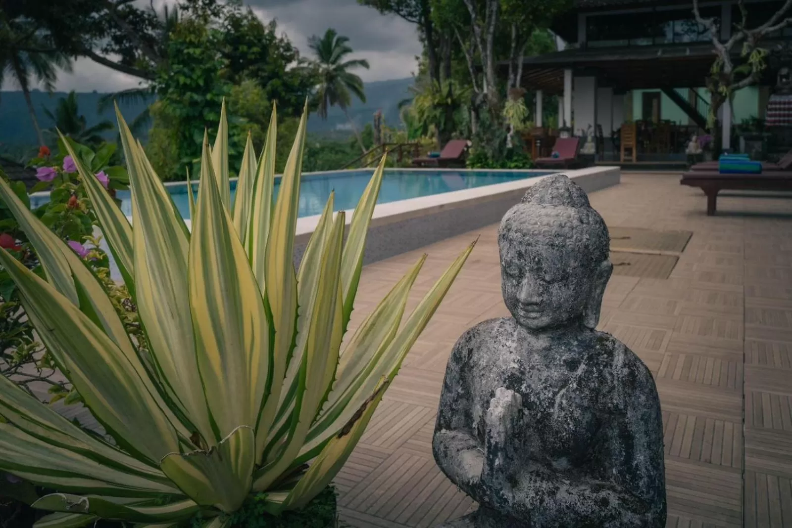 Mountain view in VILLA IPSA