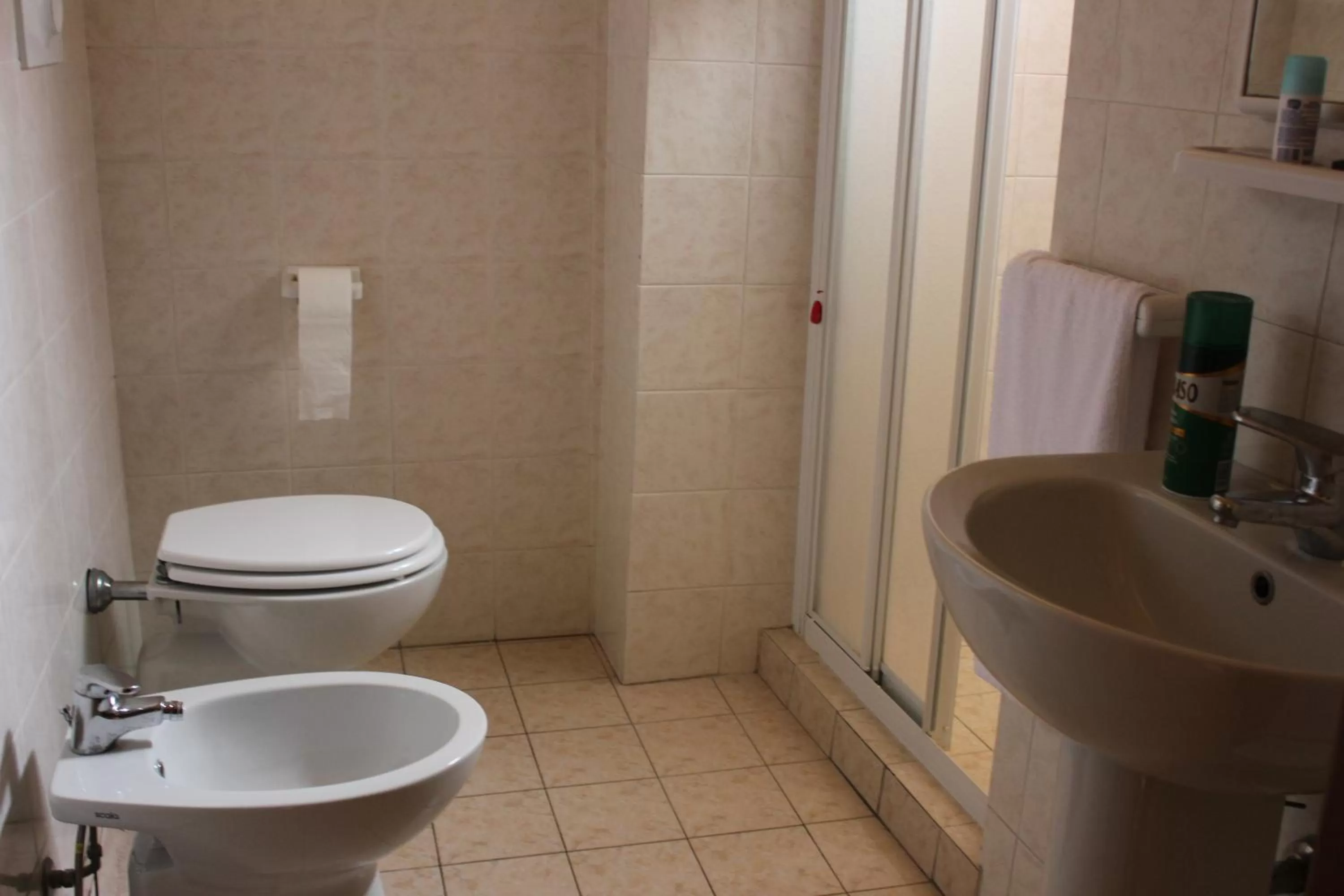 Shower in Hotel Legnano