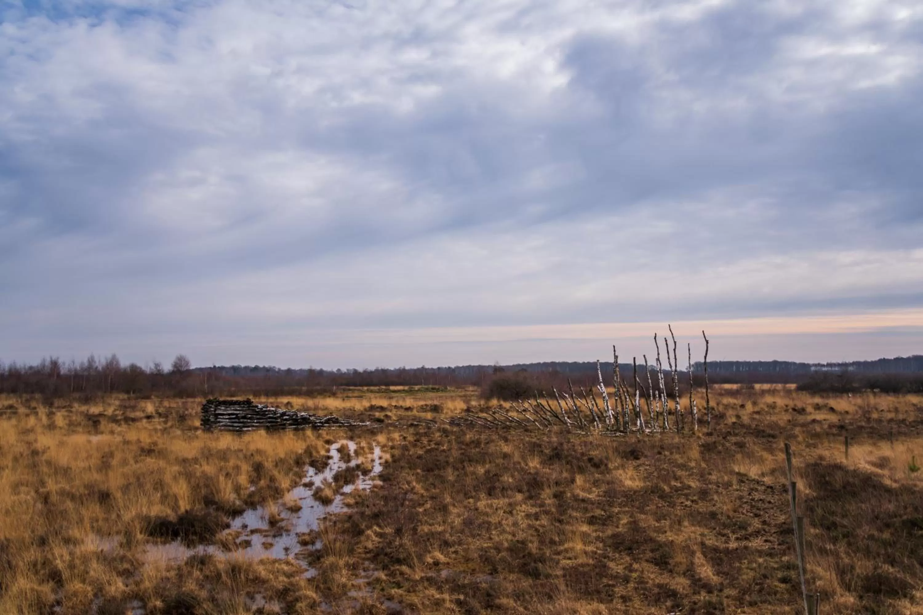 Area and facilities in B&B De Hazelaardij