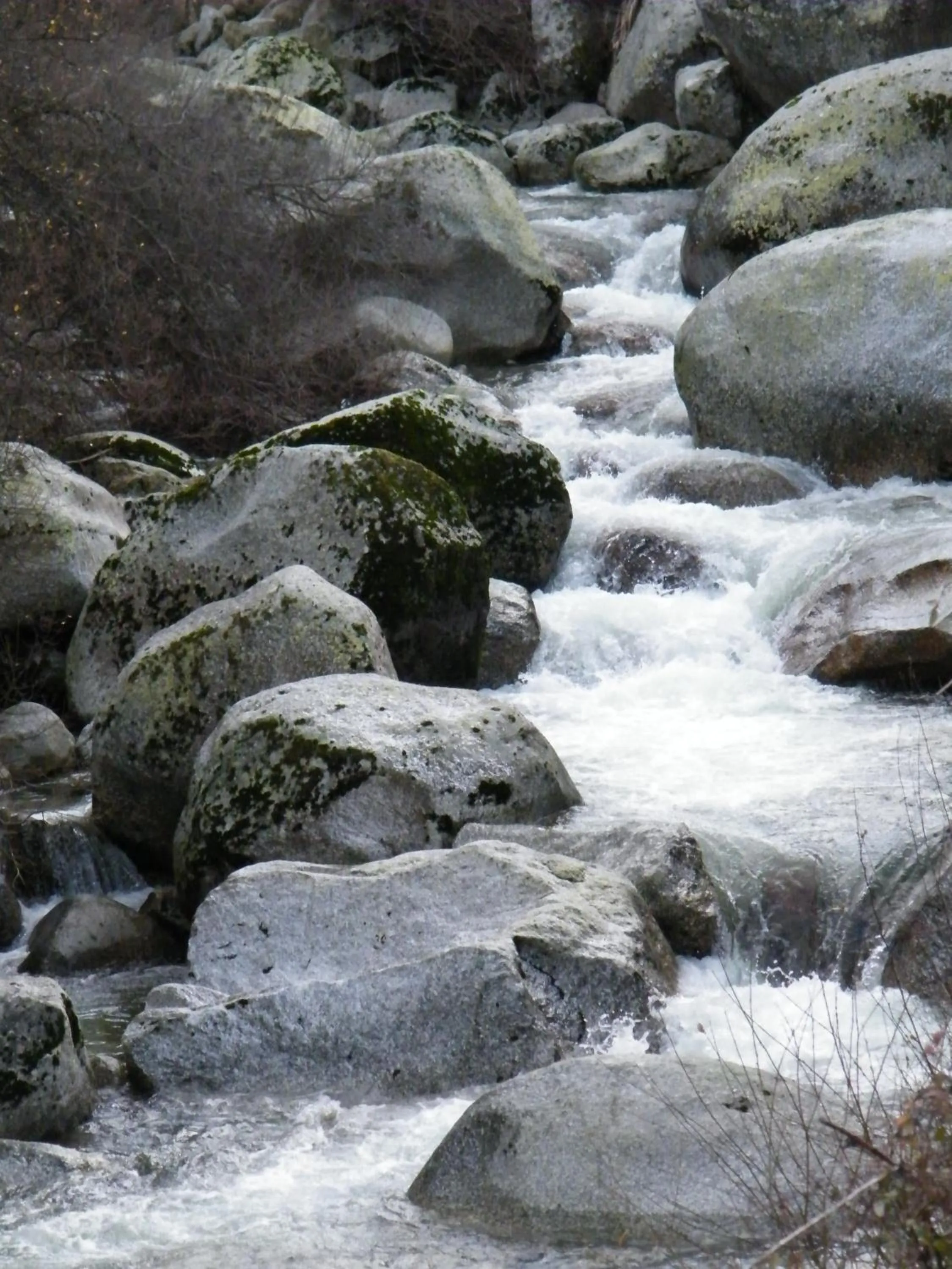 Natural landscape in INATEL Manteigas