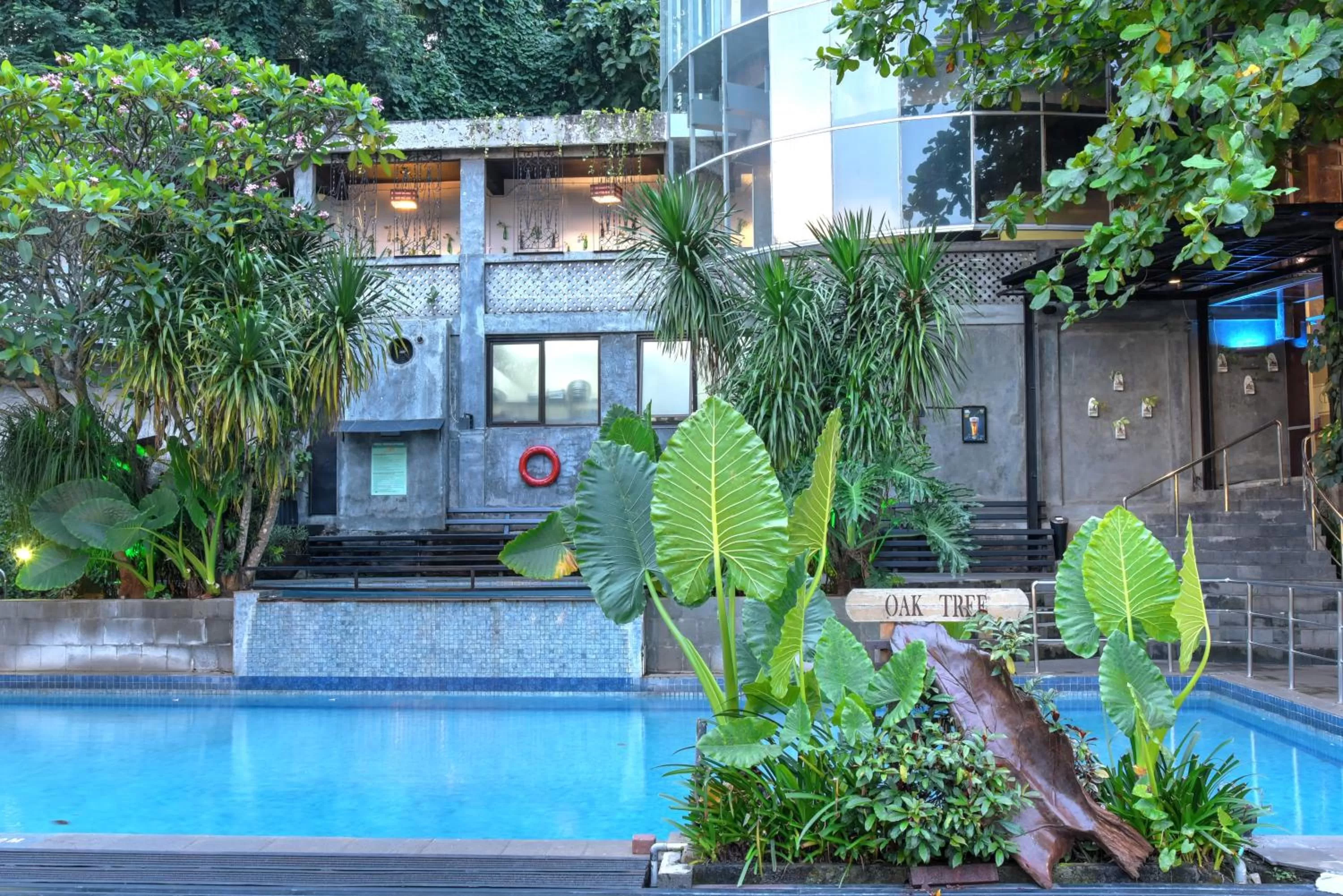 Swimming pool in Oak Tree Emerald Hotel & Coventions Semarang