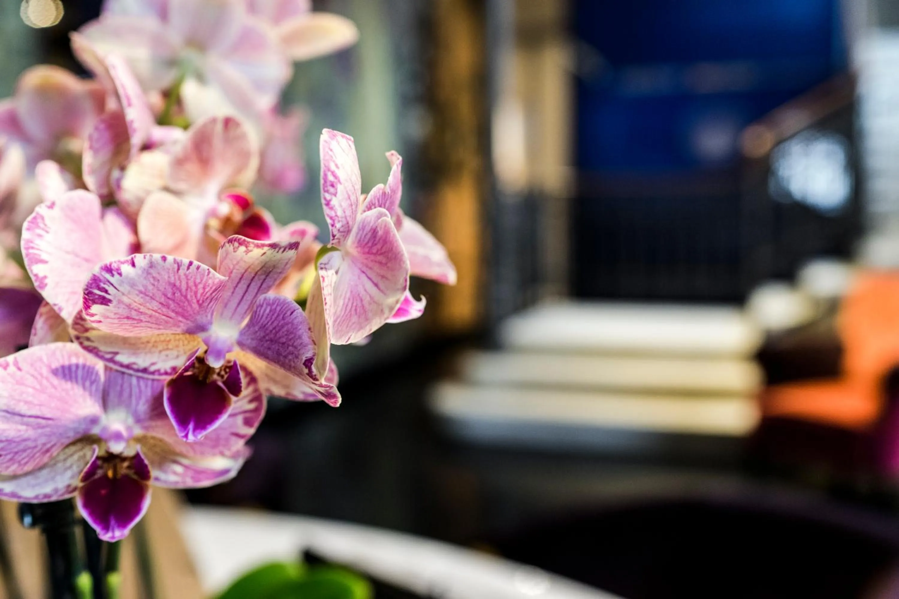 Decorative detail in Hotel Bella Riva