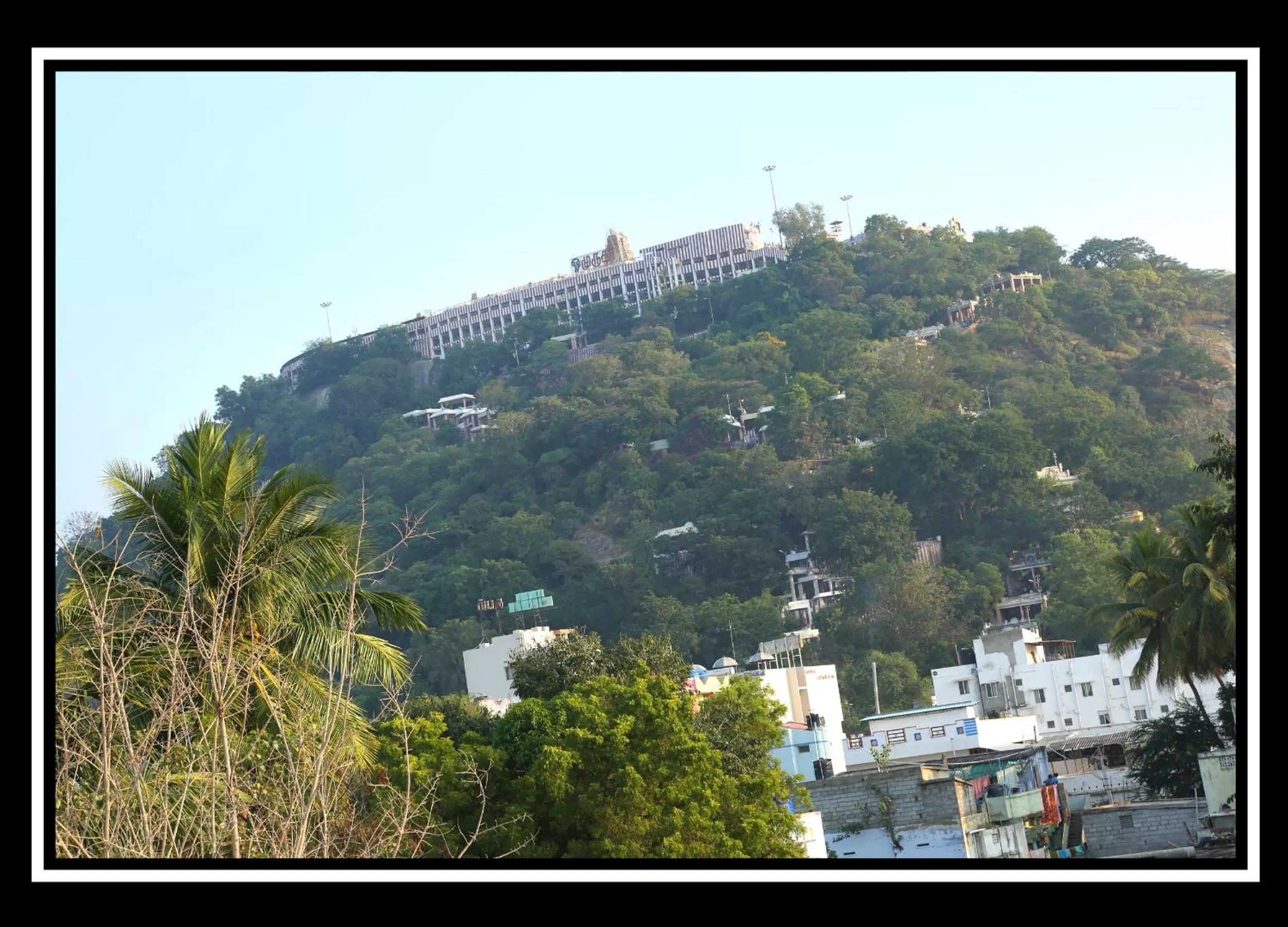 Pattiah Naidu Palace