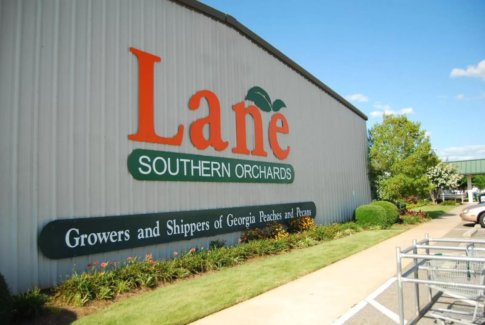 Activities in Super 8 by Wyndham Byron/South Macon